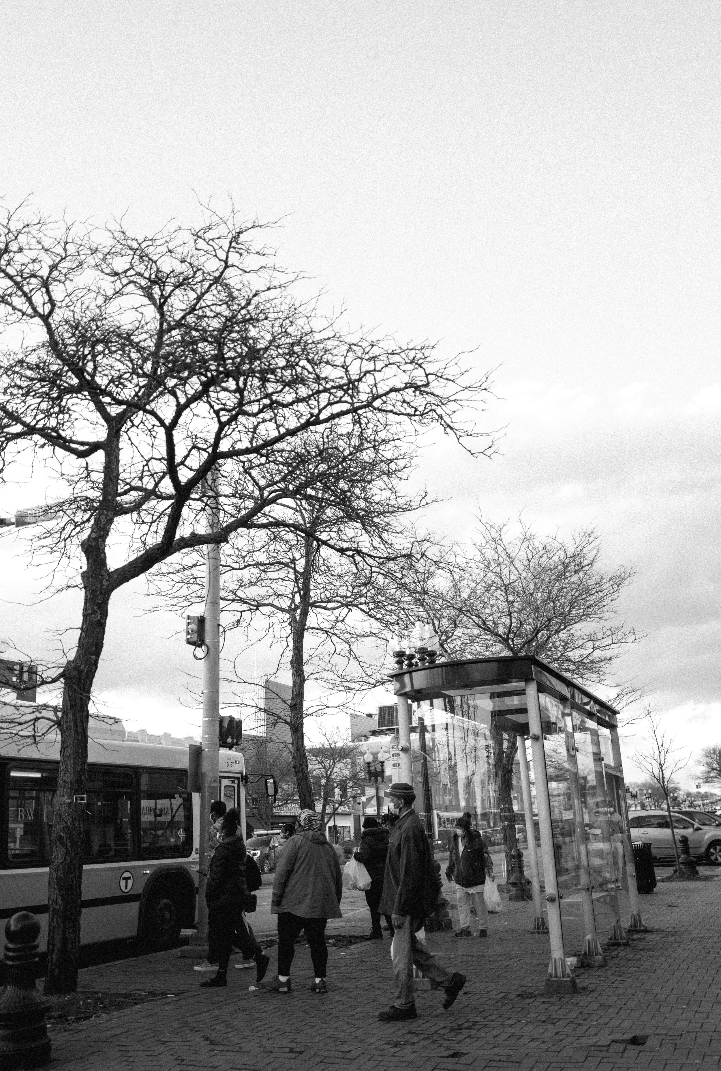 L1030490.JPG