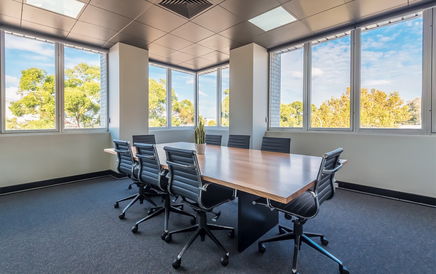DaSH-Business-Photos-018.jpg