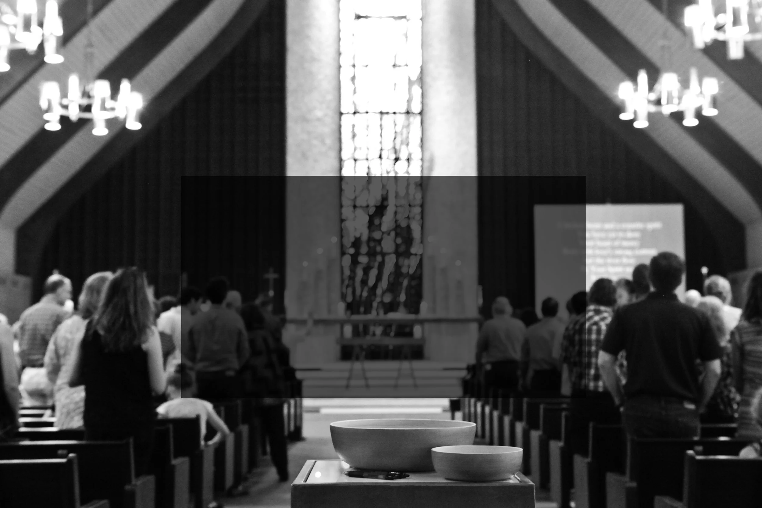 ASED website cover photo 4.JPG