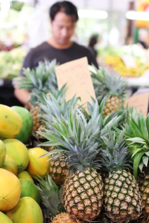 pinapple.JPG