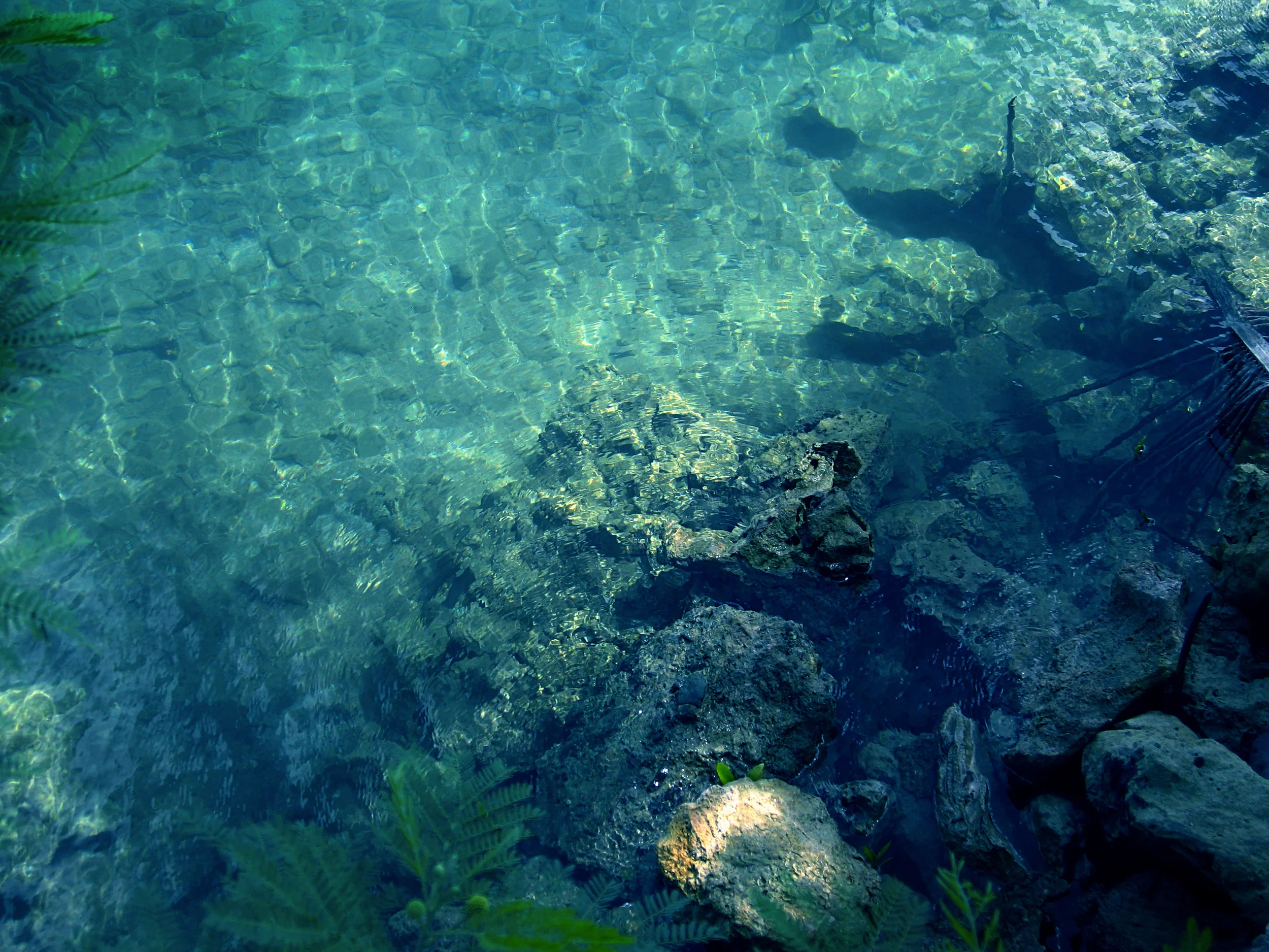 water.jpg