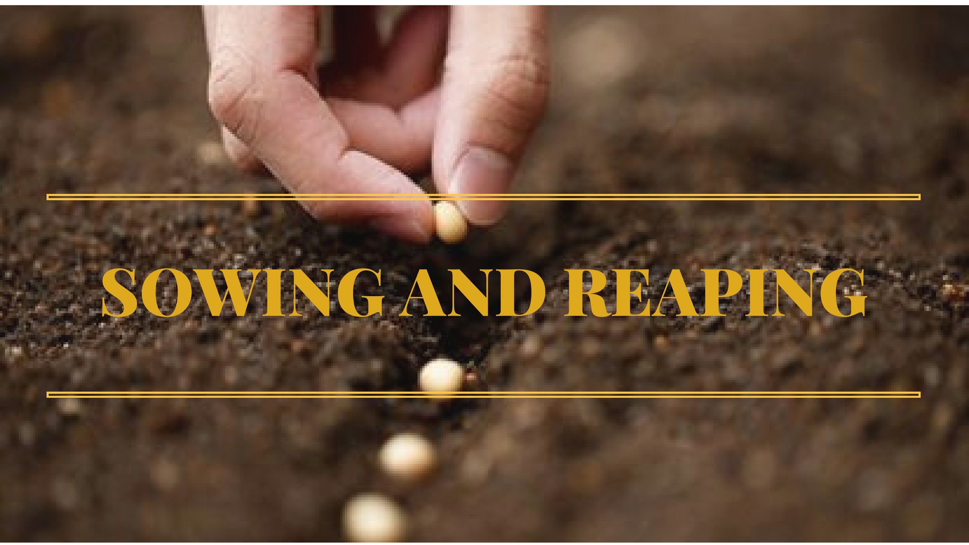 THE IMMUTABLE LAW OF SOWING AND REAPING