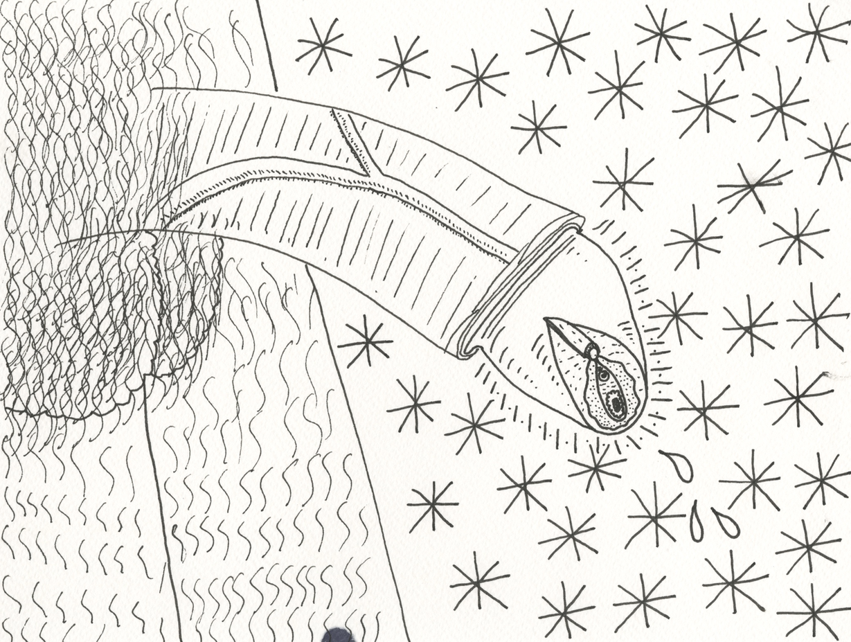 Screen Shot 2017-03-22 at 9.10.04 AM.png