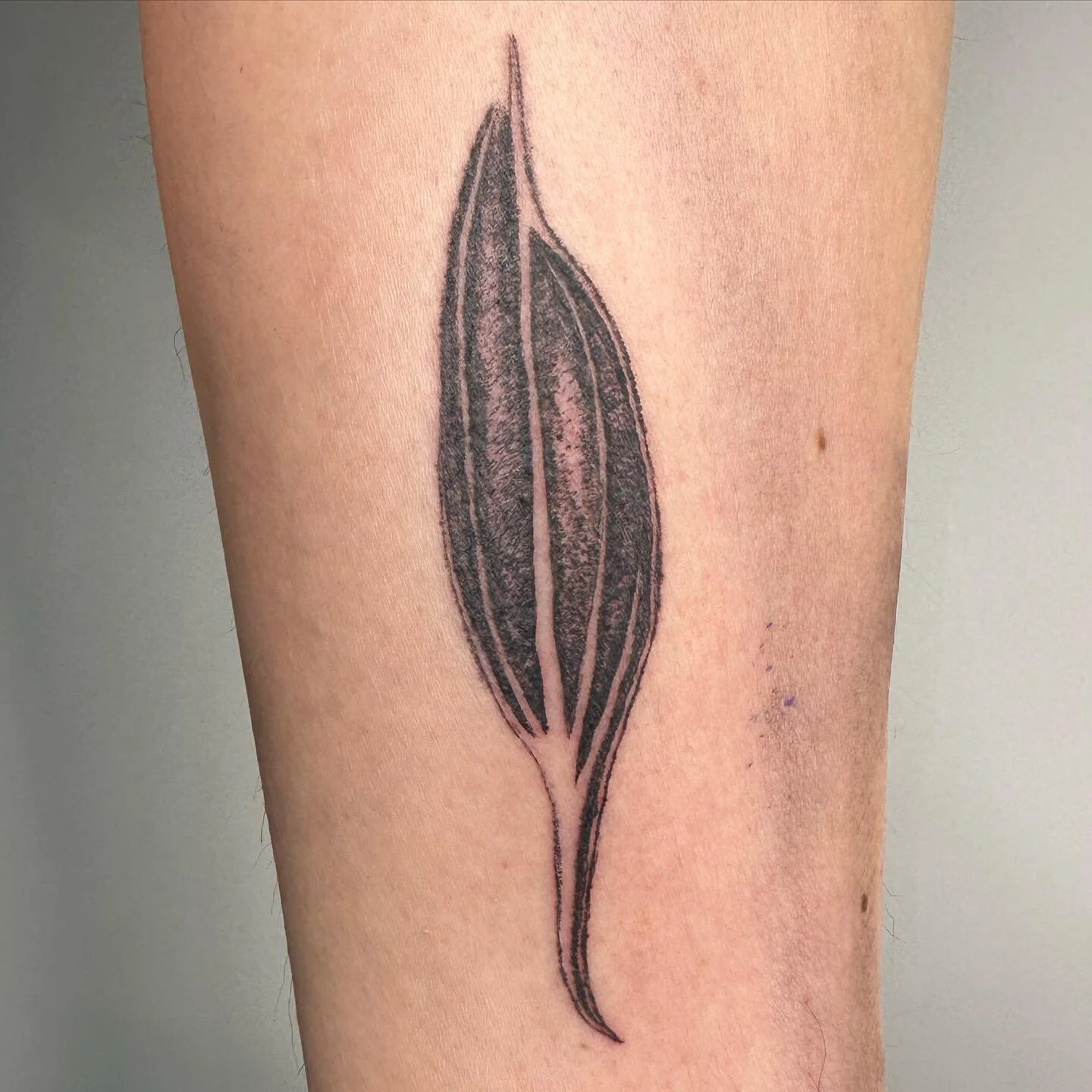 Thanks again Anna :)