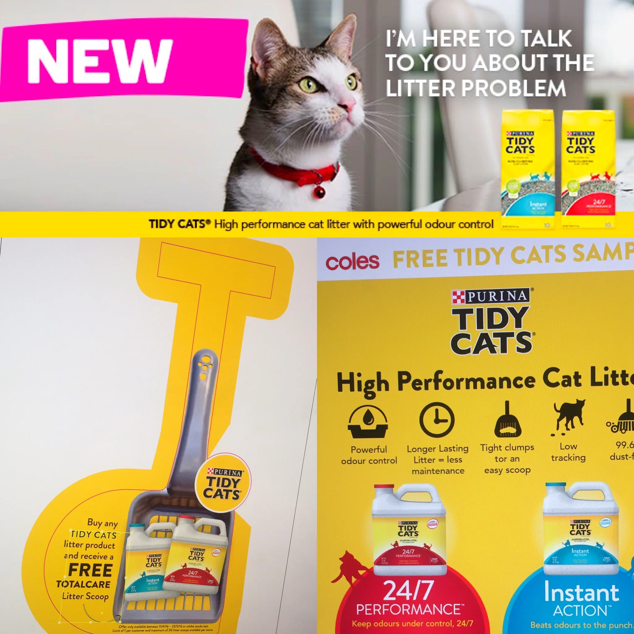 tidy cats coles