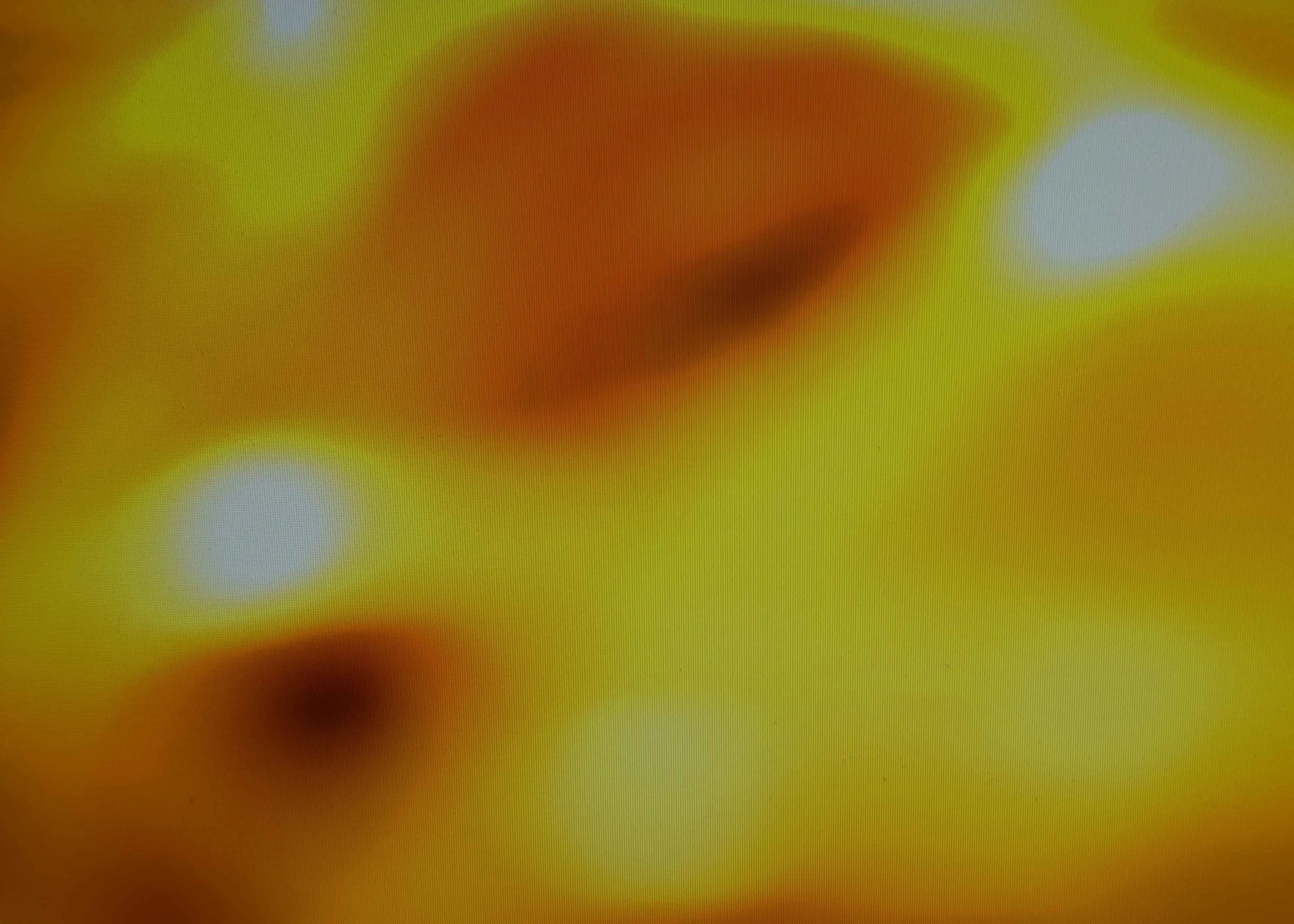 PC191646.jpg