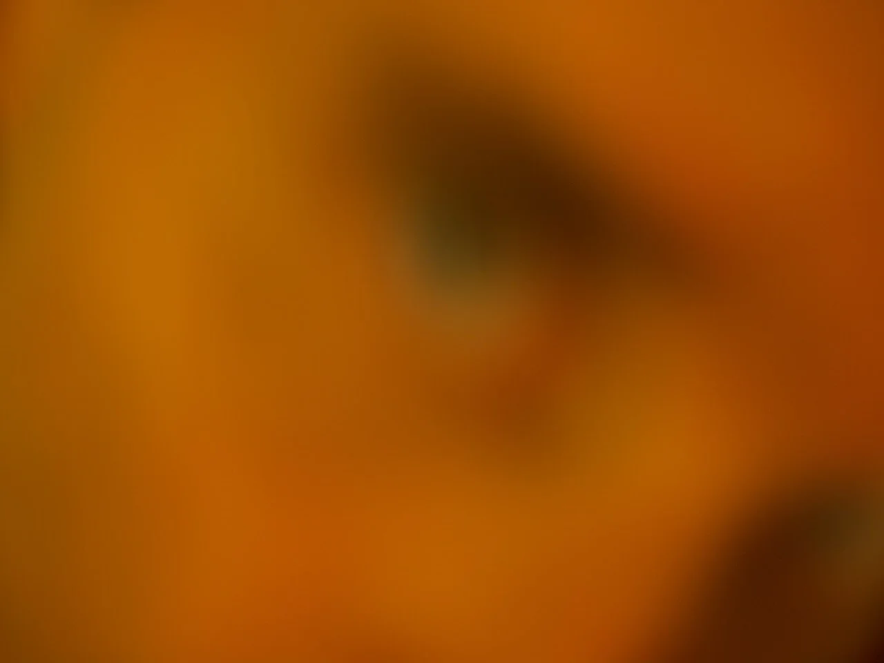 ST275540.jpeg