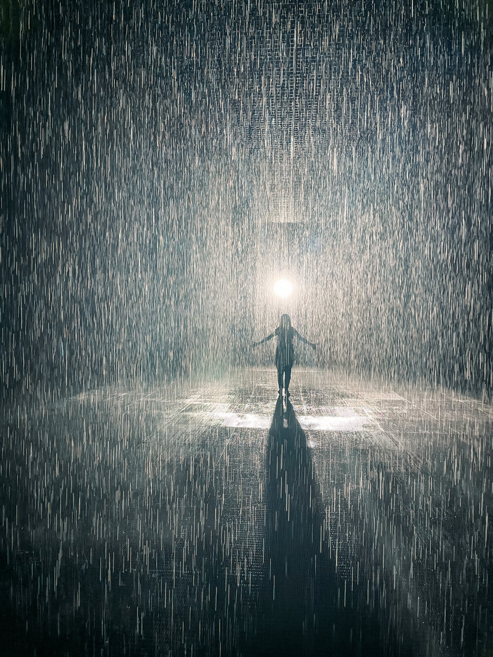 Rain Room (3).jpeg