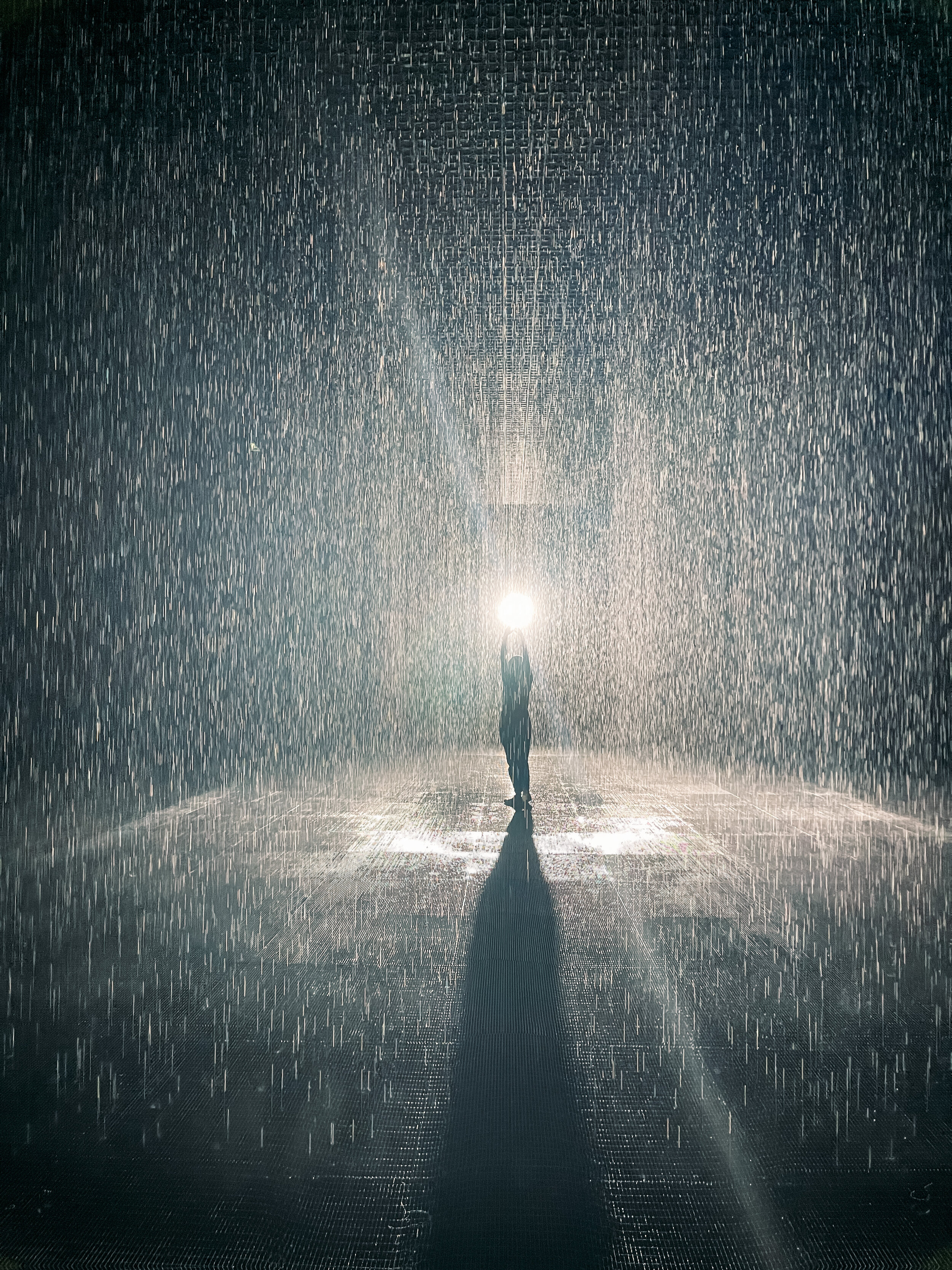 Rain Room (4).jpeg