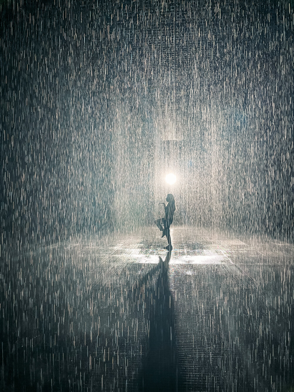 Rain Room (5).jpeg