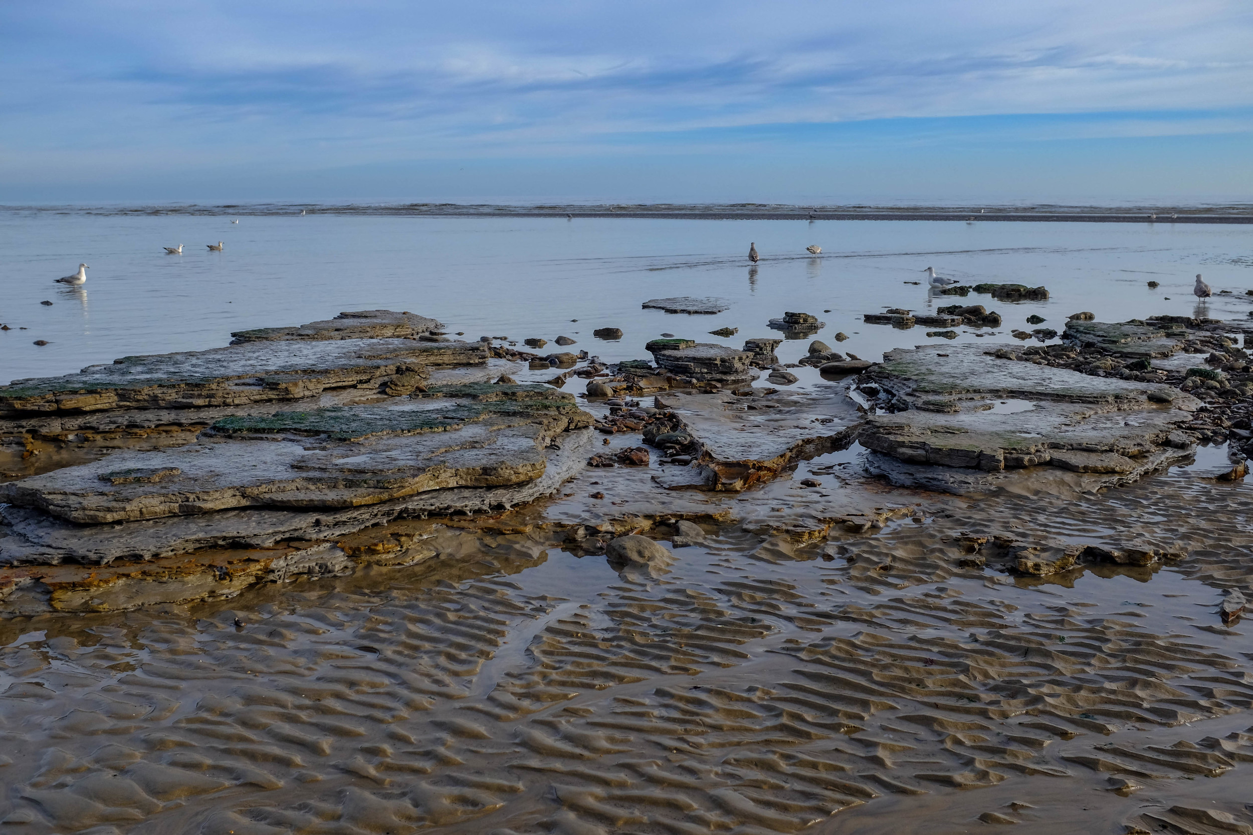 low tide autumn-22.jpg