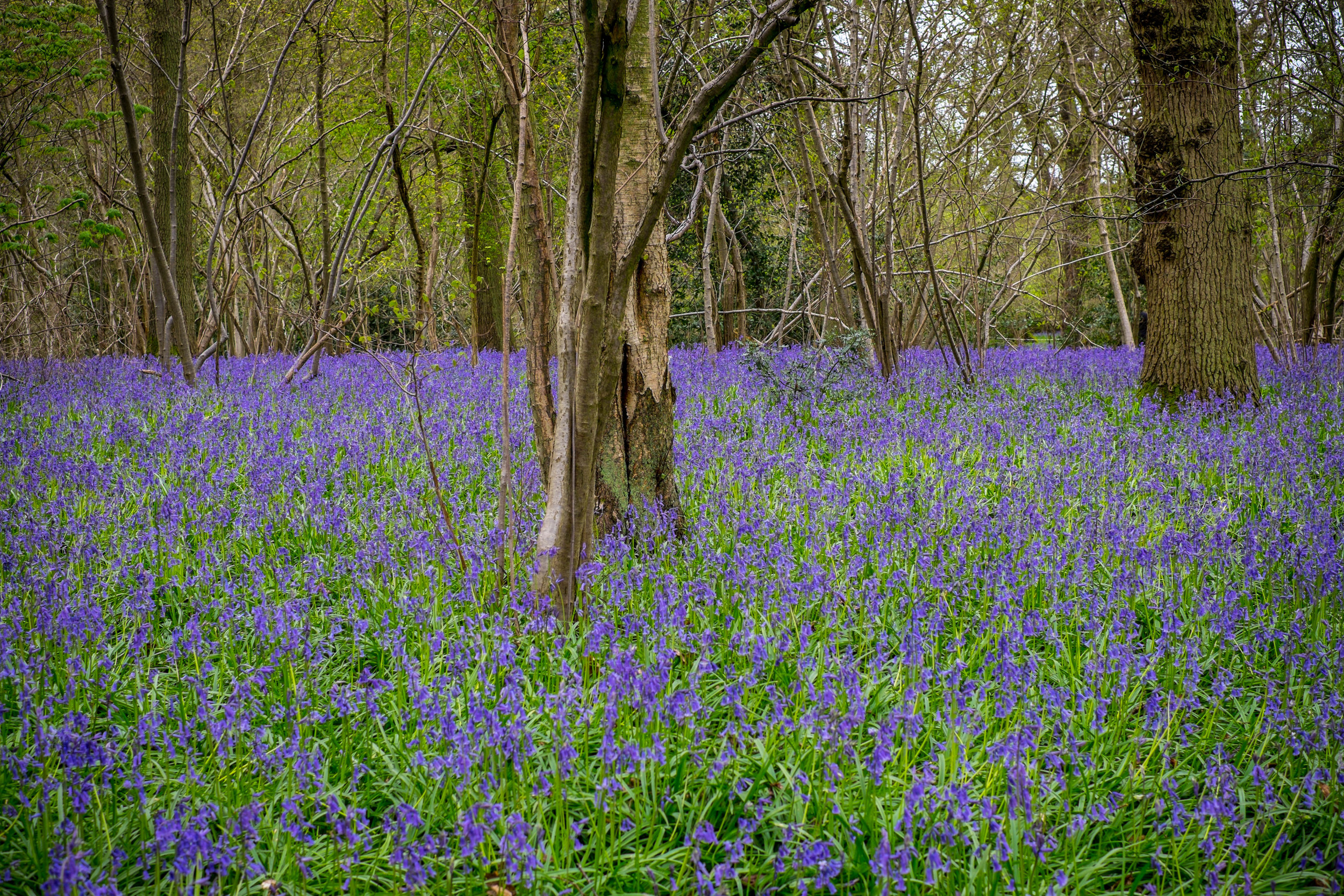 weekendstratford2016blue-71.jpg