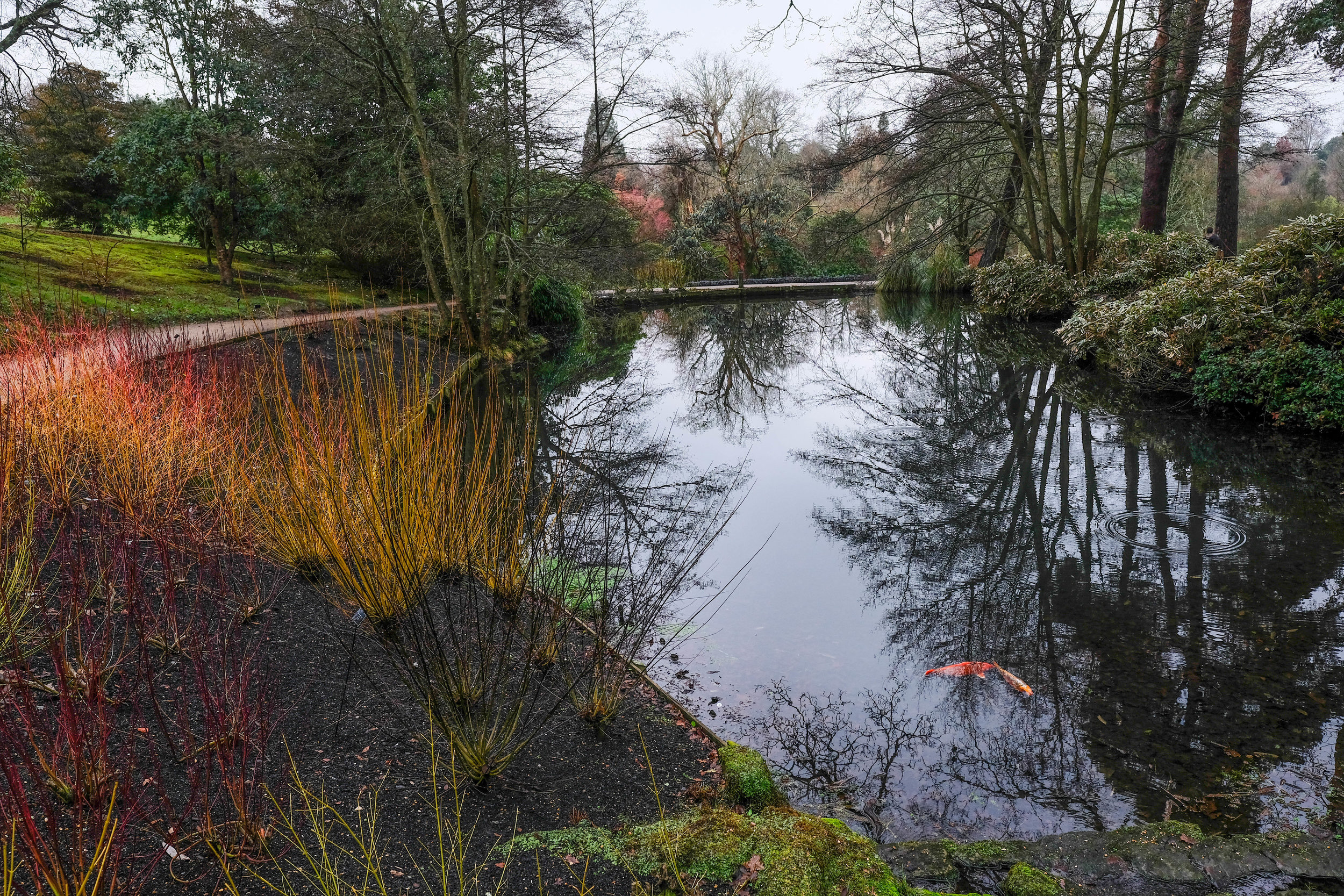 wakehurst place 2017-29-2.jpg