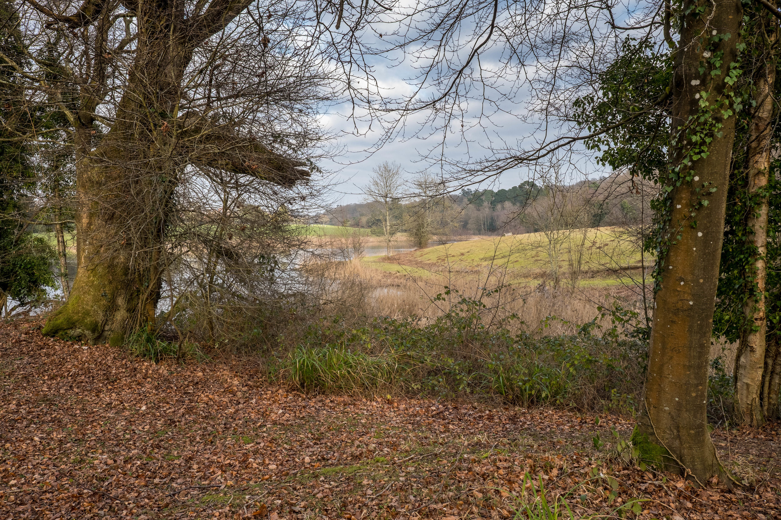 ashburnham site-11.jpg