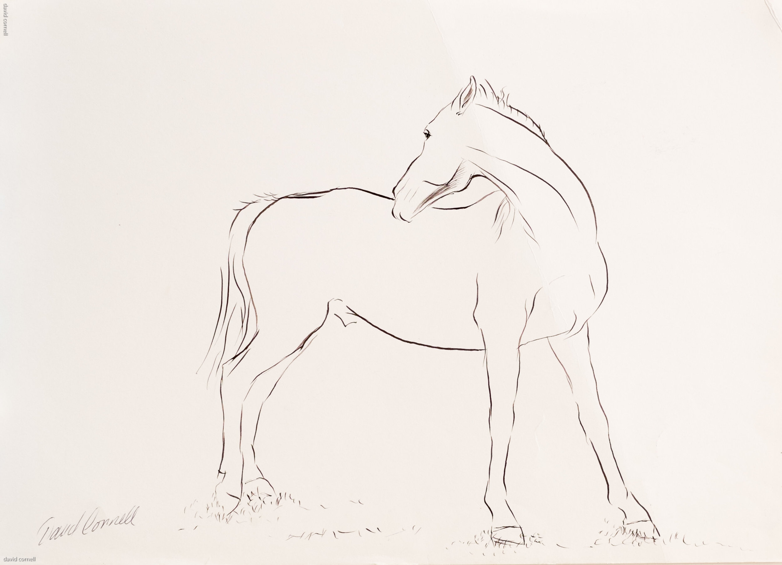 davids designs and sketches-18.jpg