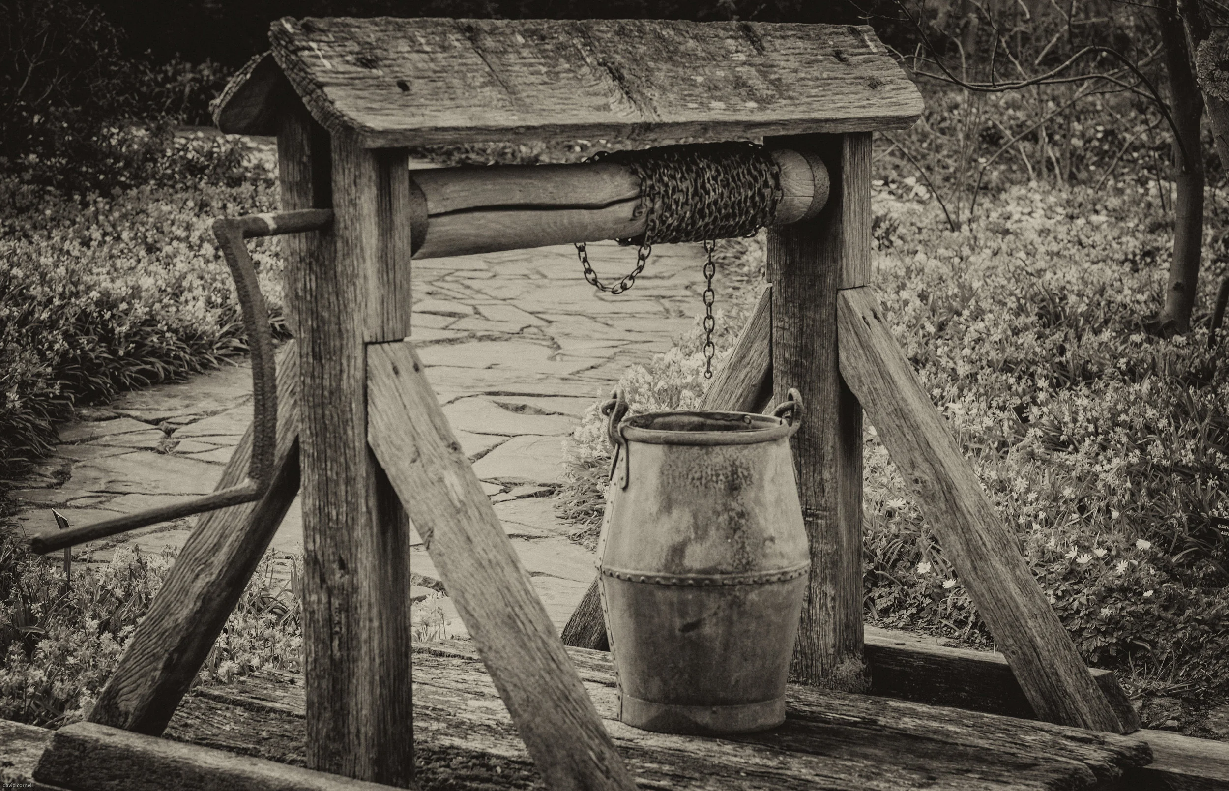 art photos-1-43.jpg