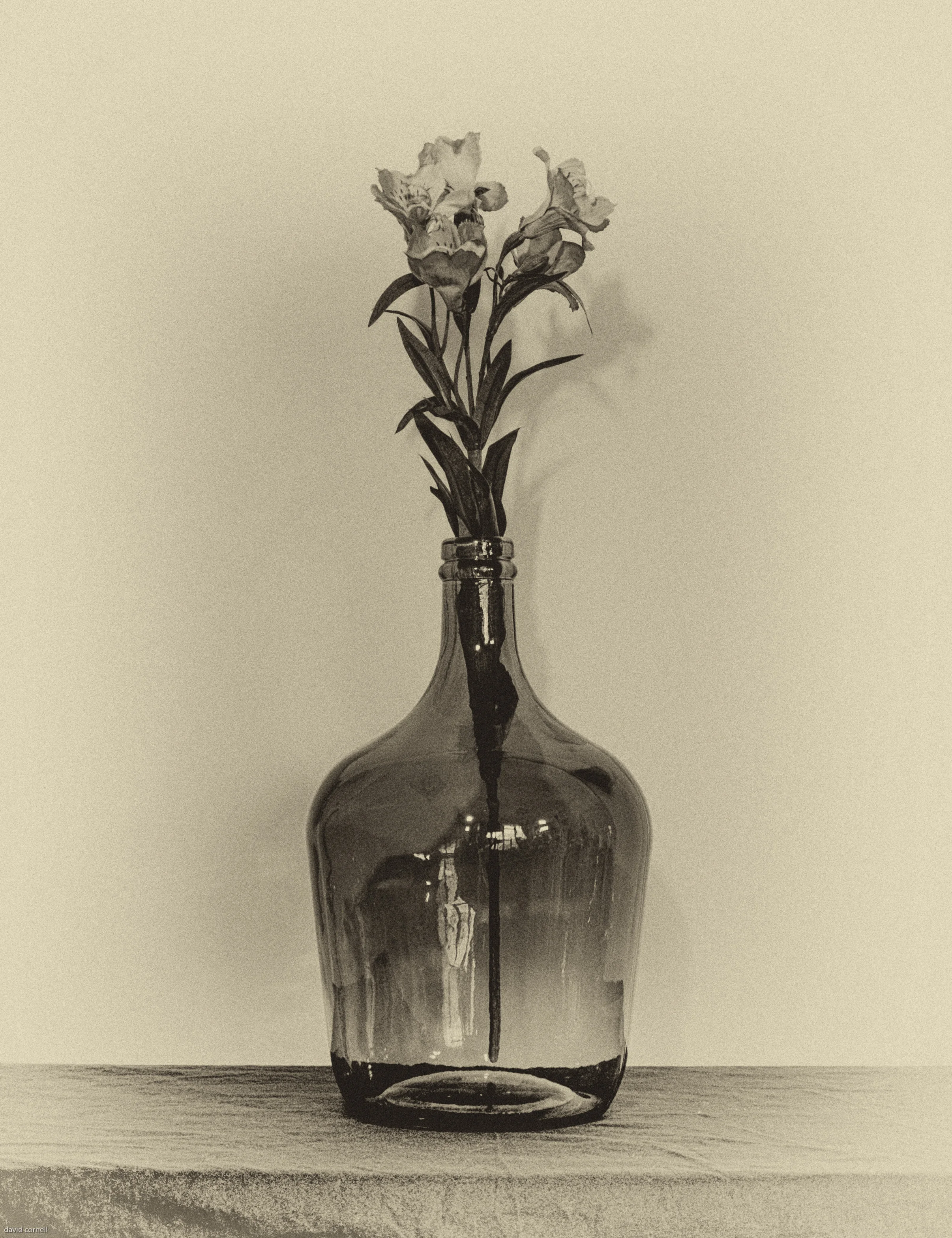 art photos-1-44.jpg