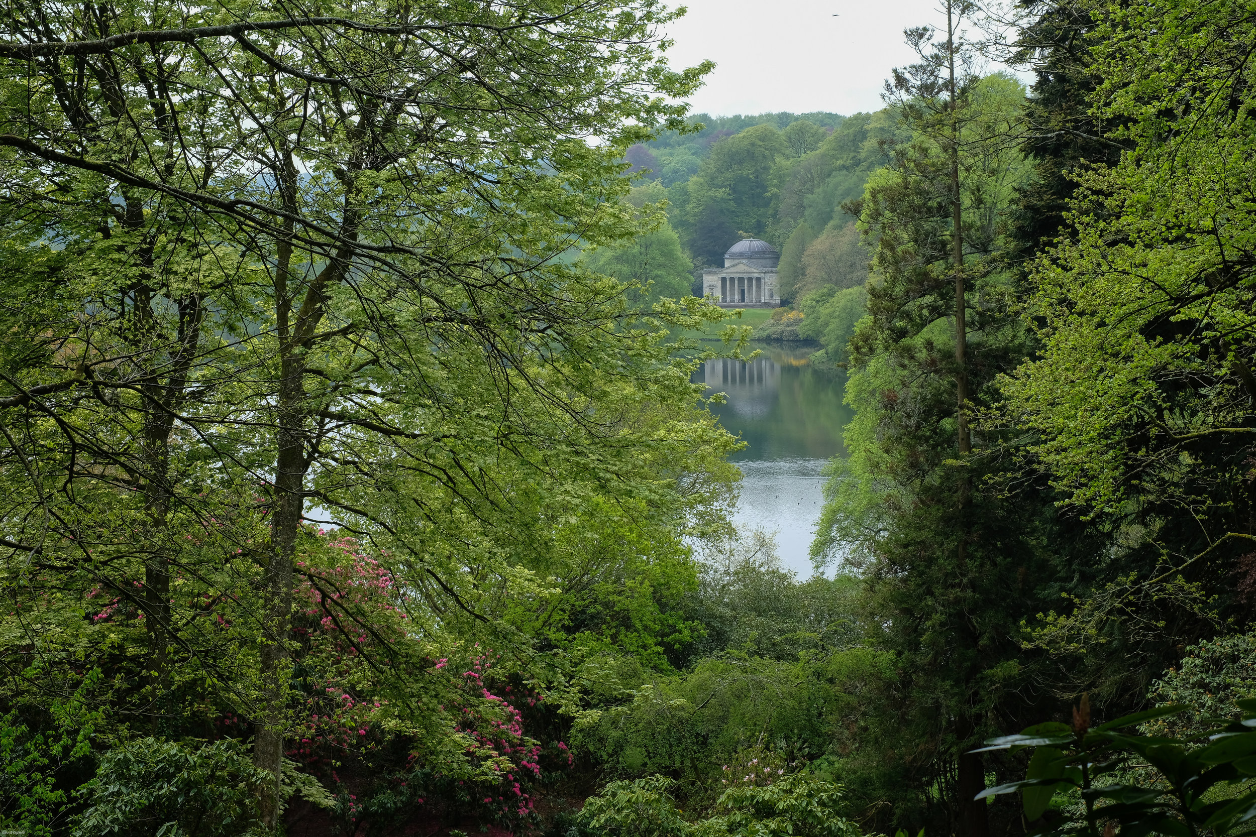 stourhead 2019 april-4.jpg