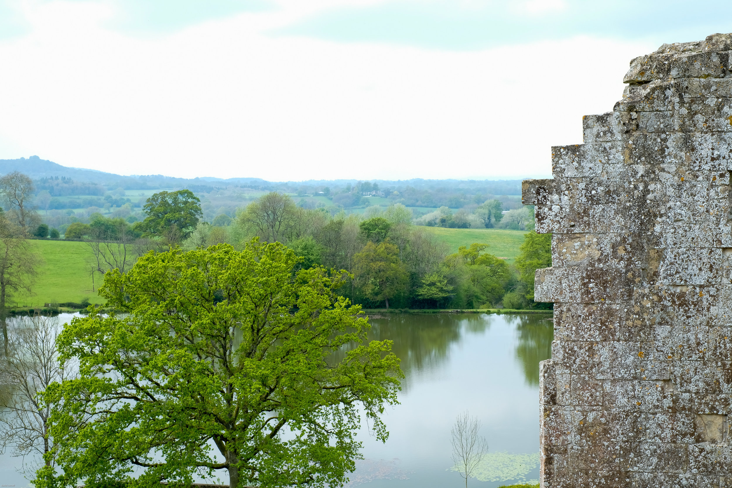 old wardour castle 2019 april-13.jpg