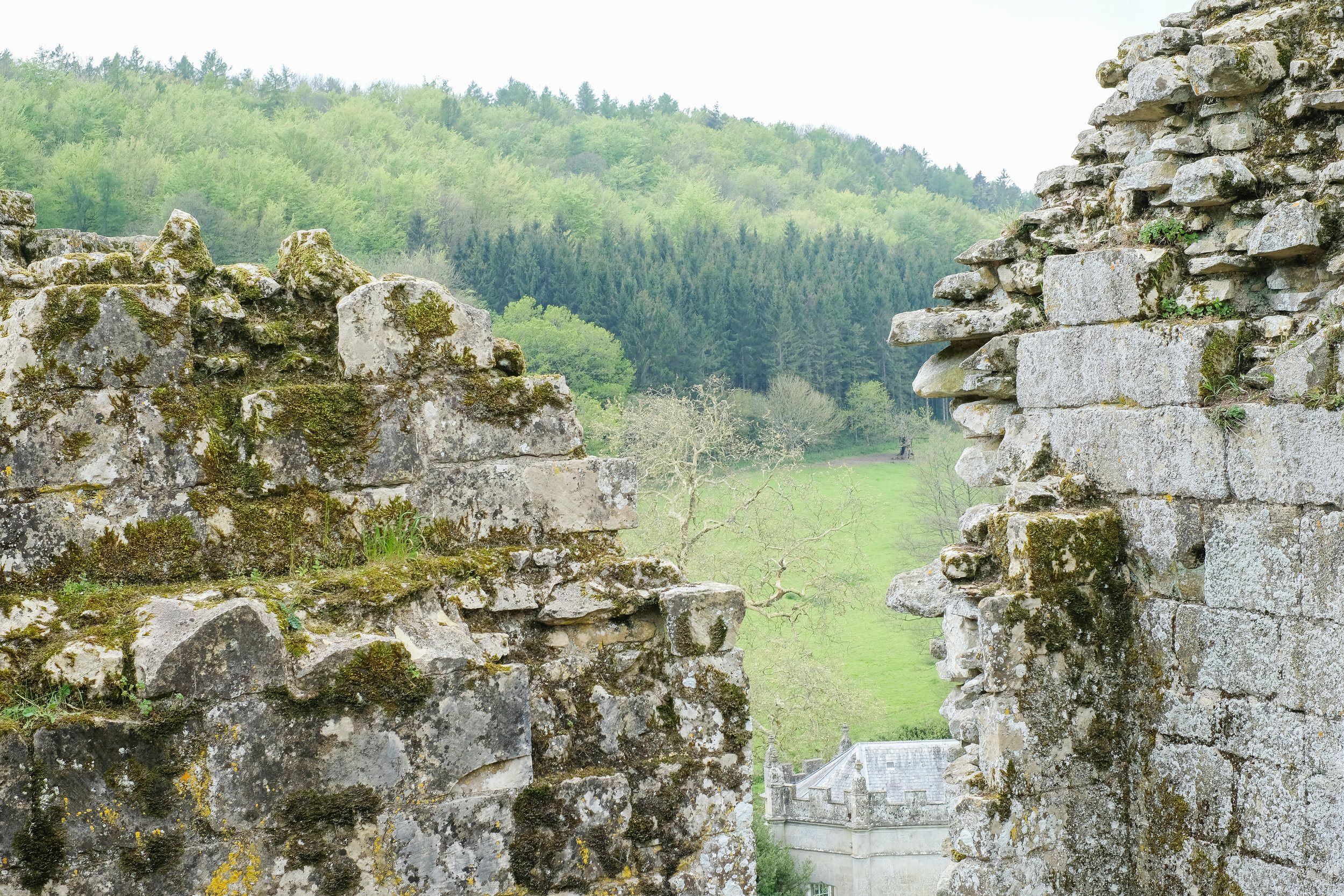 old wardour castle 2019 april-14.jpg