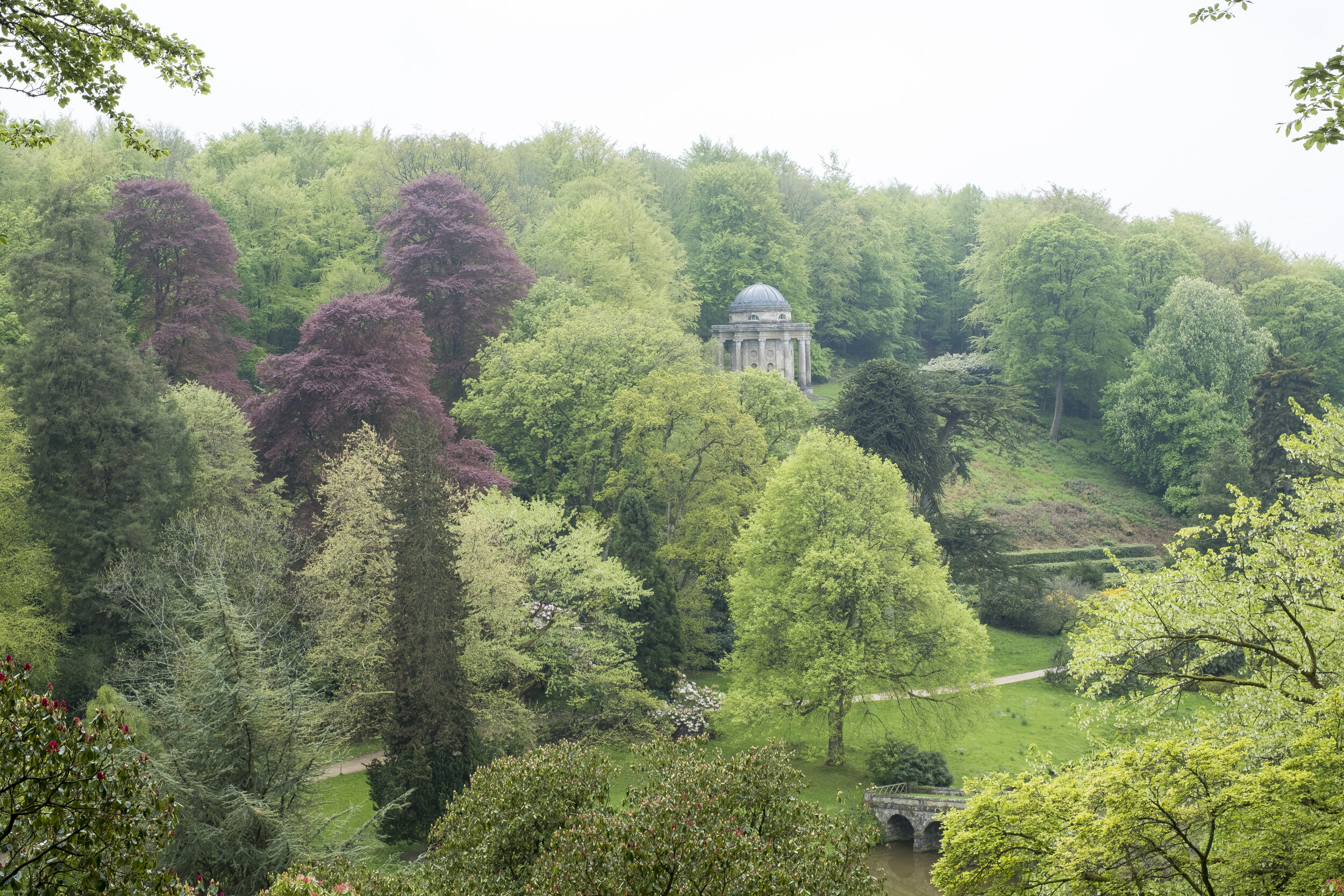 salsibury for site-5.jpg