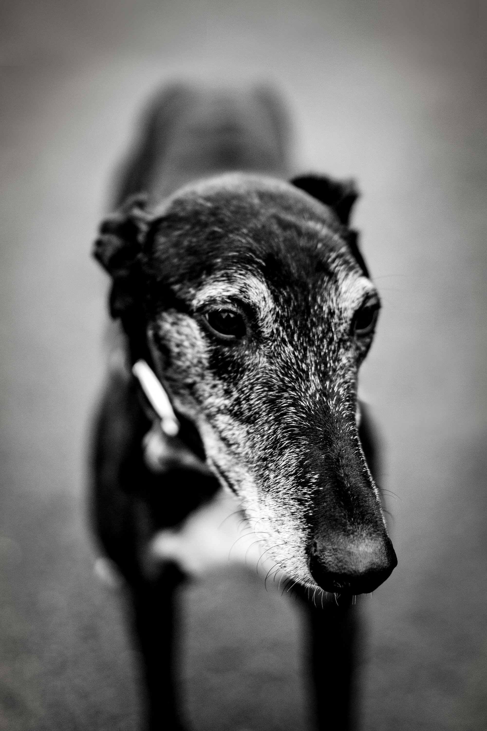 DSC06831-Edit.jpg