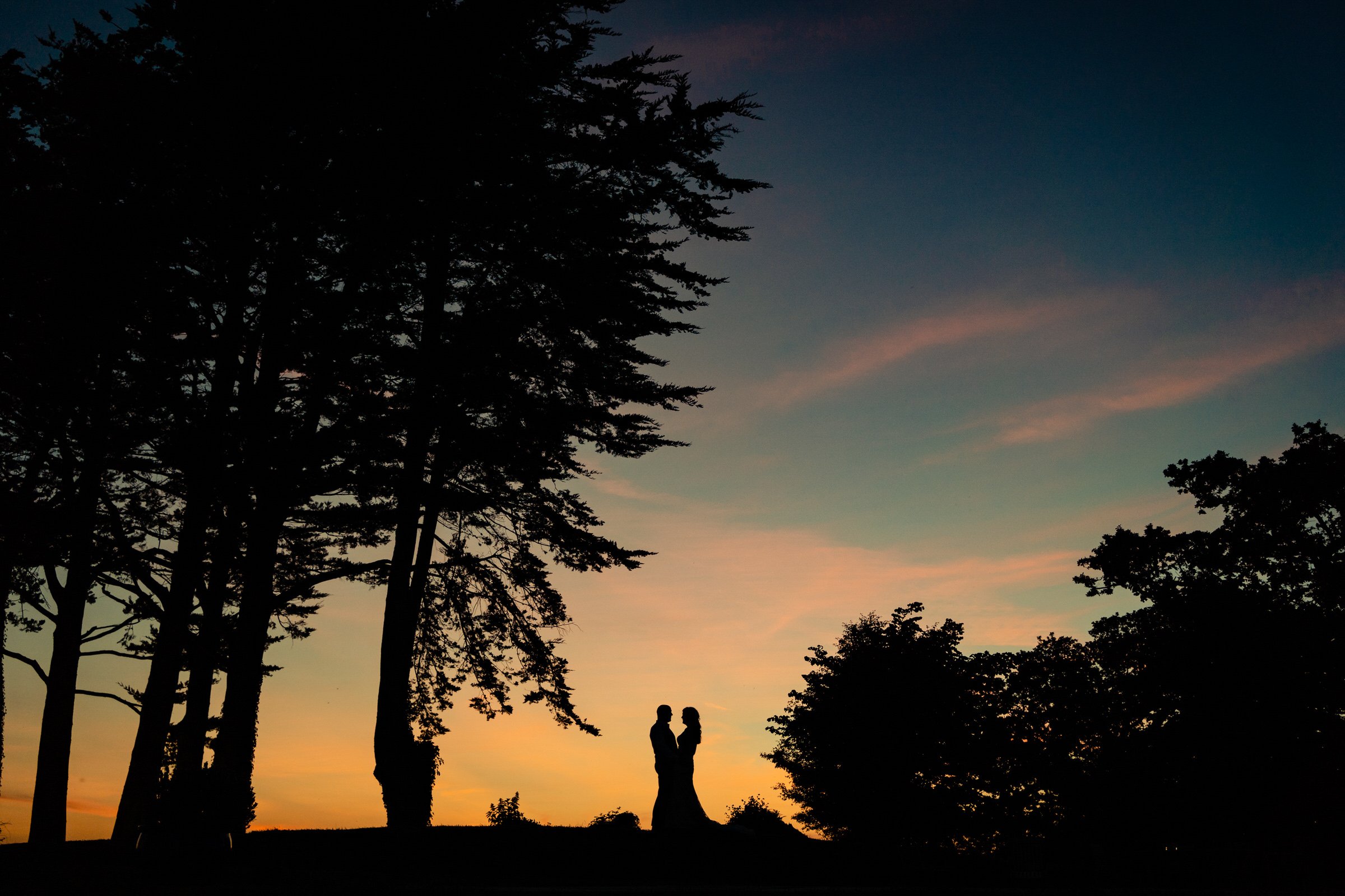sunset - wedding - silhouette - higher eggbeer.jpg