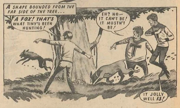 The Tigers: Ron Turner (artist)