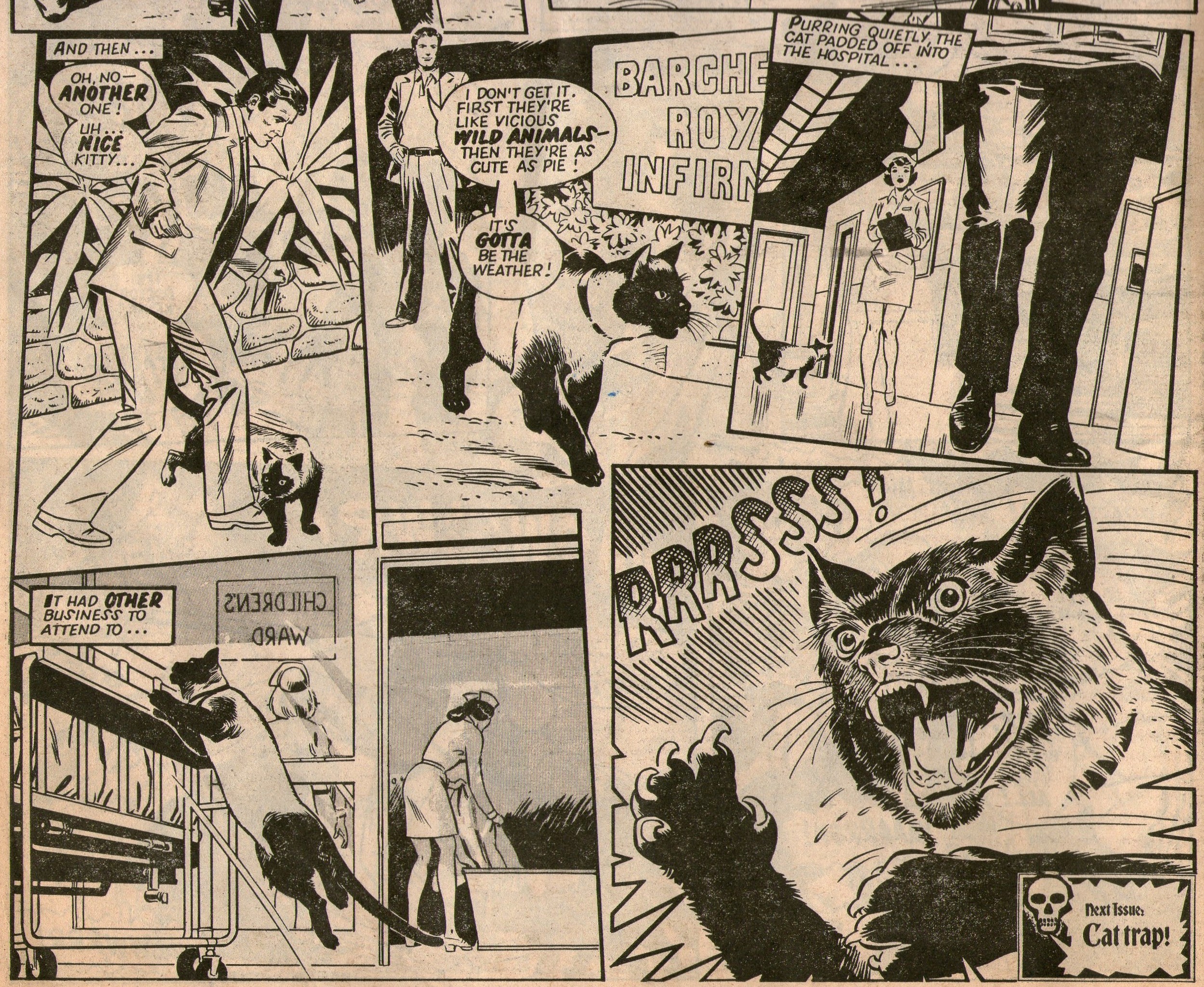 The Terror of the Cats: John Agee (writer), Gonzalez (artist)