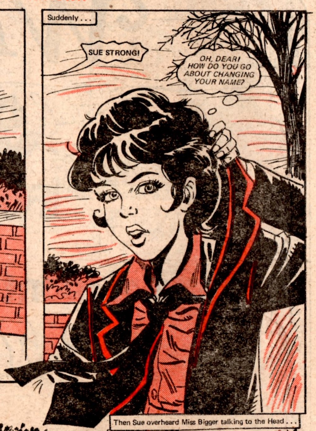 Wee Sue: Robert MacGillivray? (artist)