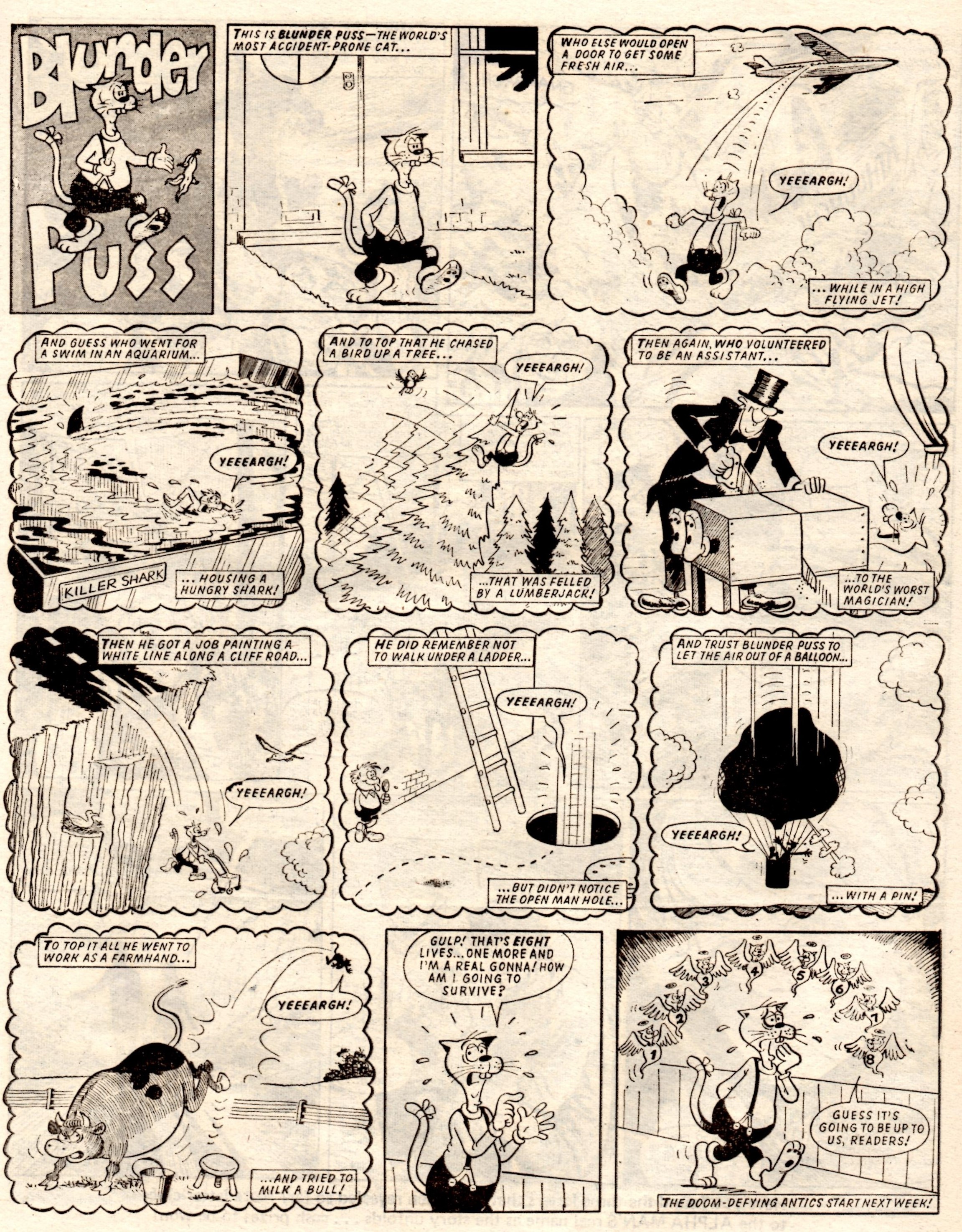 Blunder Puss: Jim Crocker (artist)
