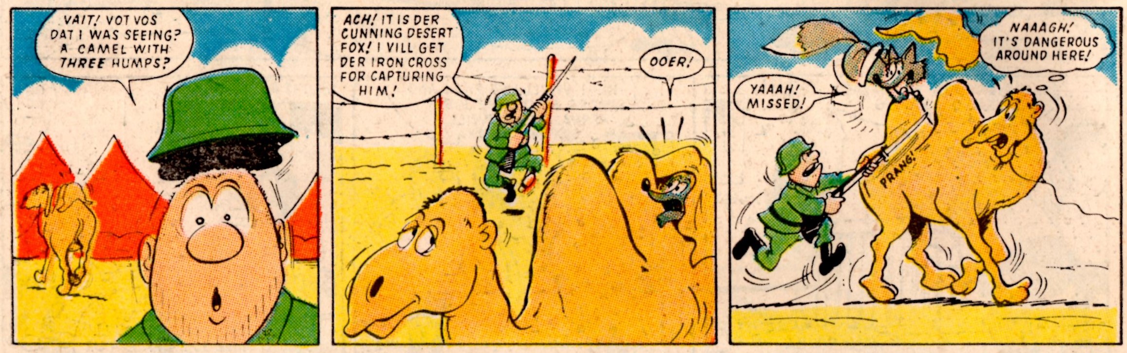 The Desert Fox: Terry Bave (artist)