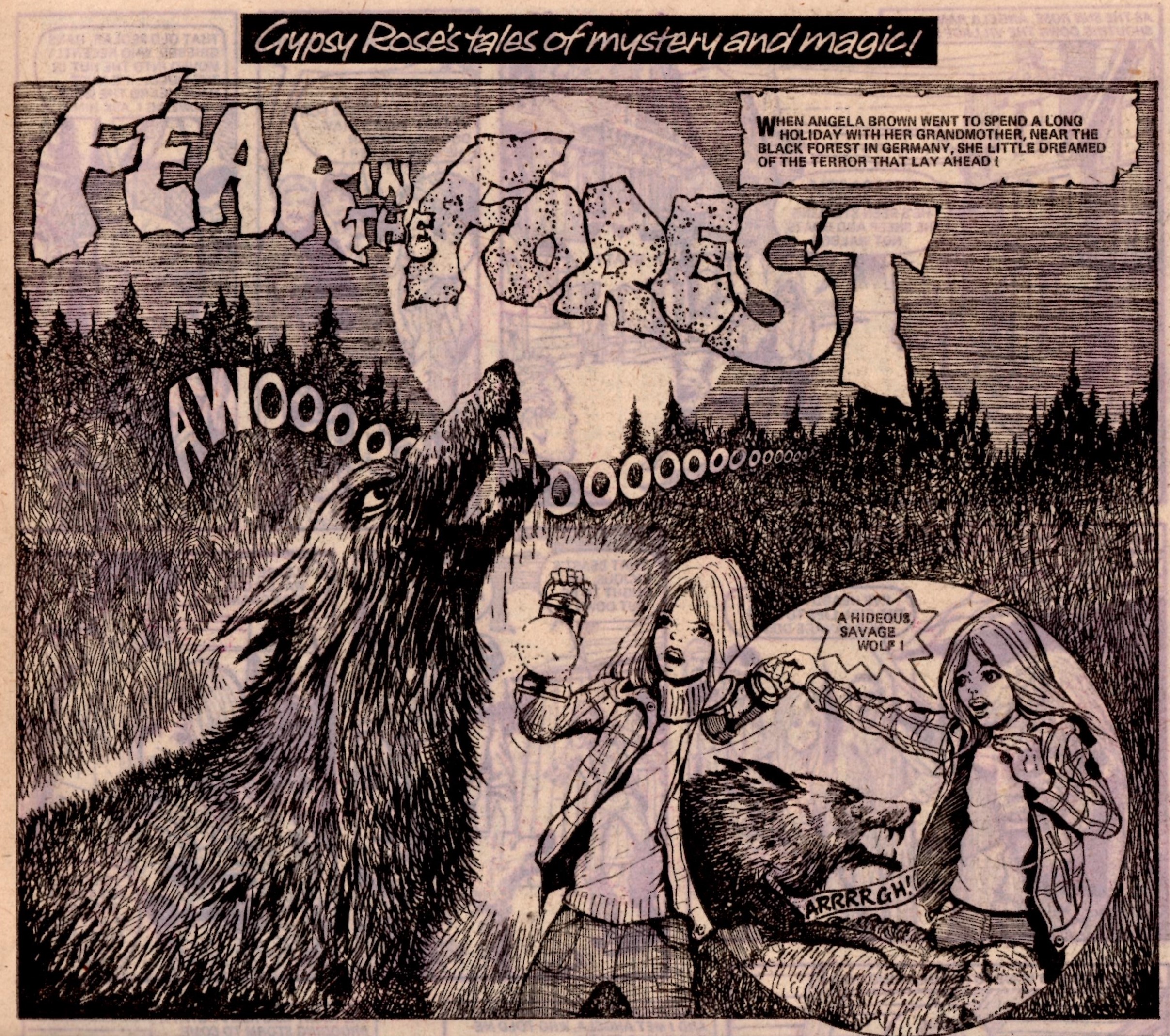 Gypsy Rose’s Tales of Mystery and Magic: Fear in the Forest: Keith Robson (artist)