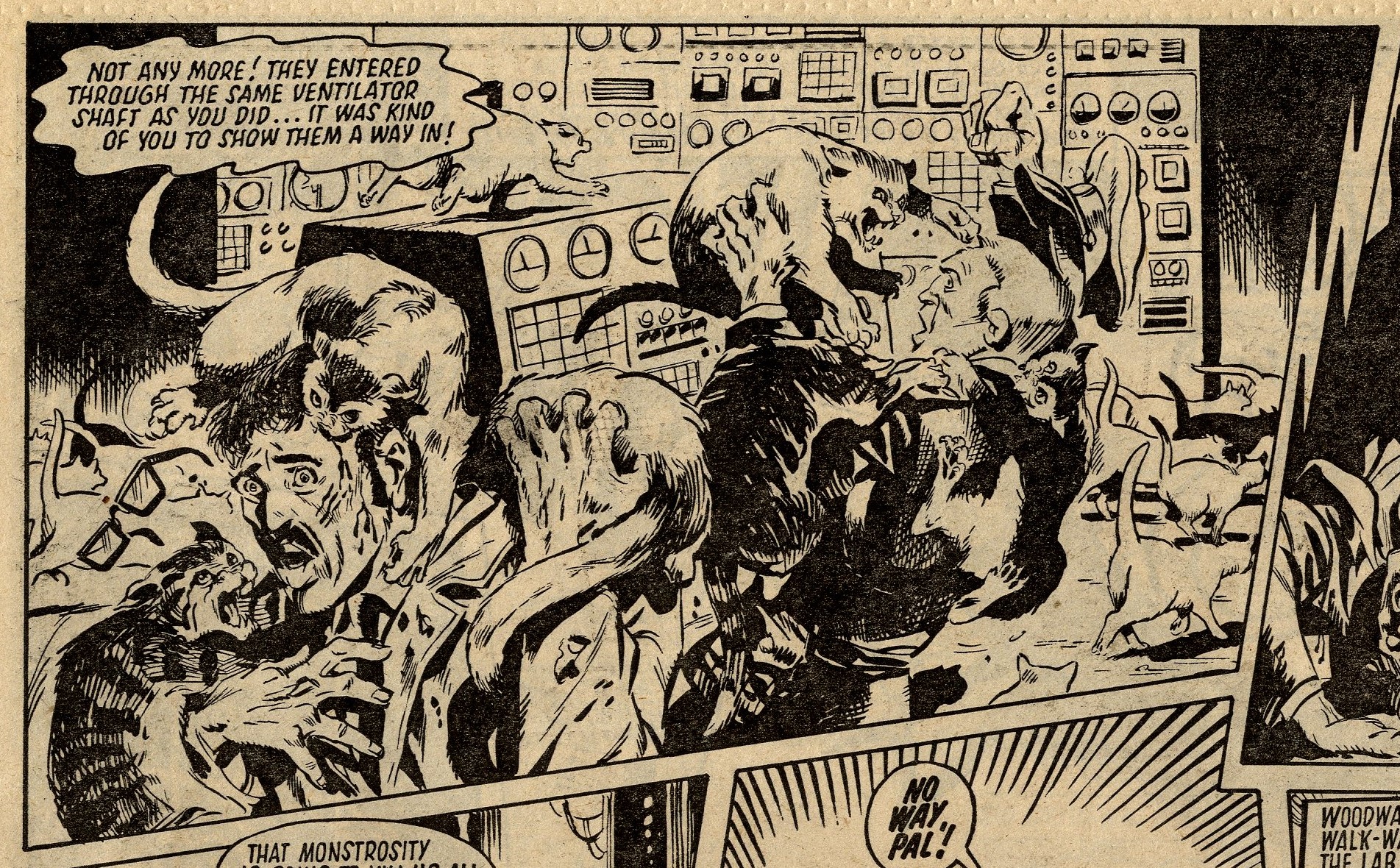 Terror of the Cats: Simon Furman (writer), John Richardson (artist)