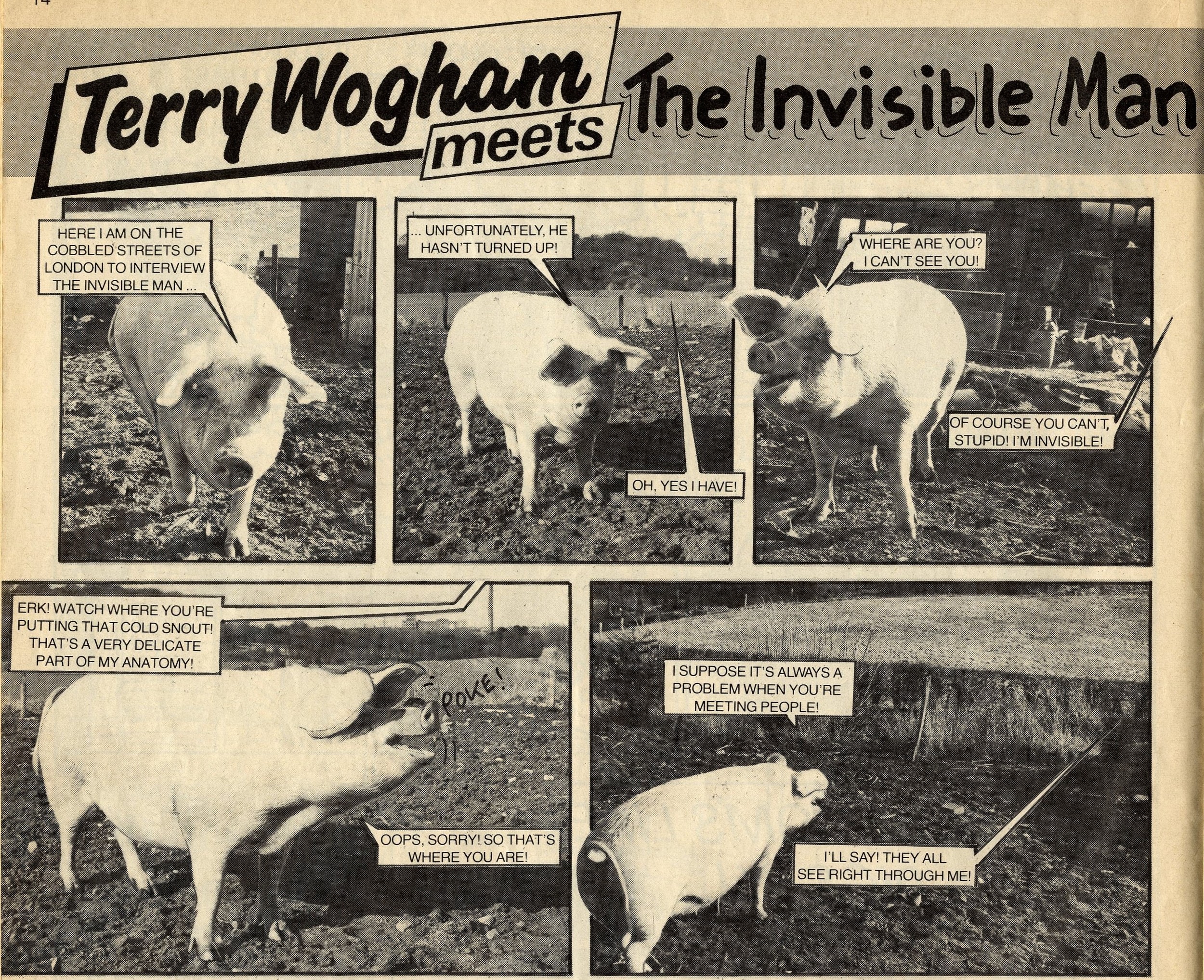 Terry Wogham
