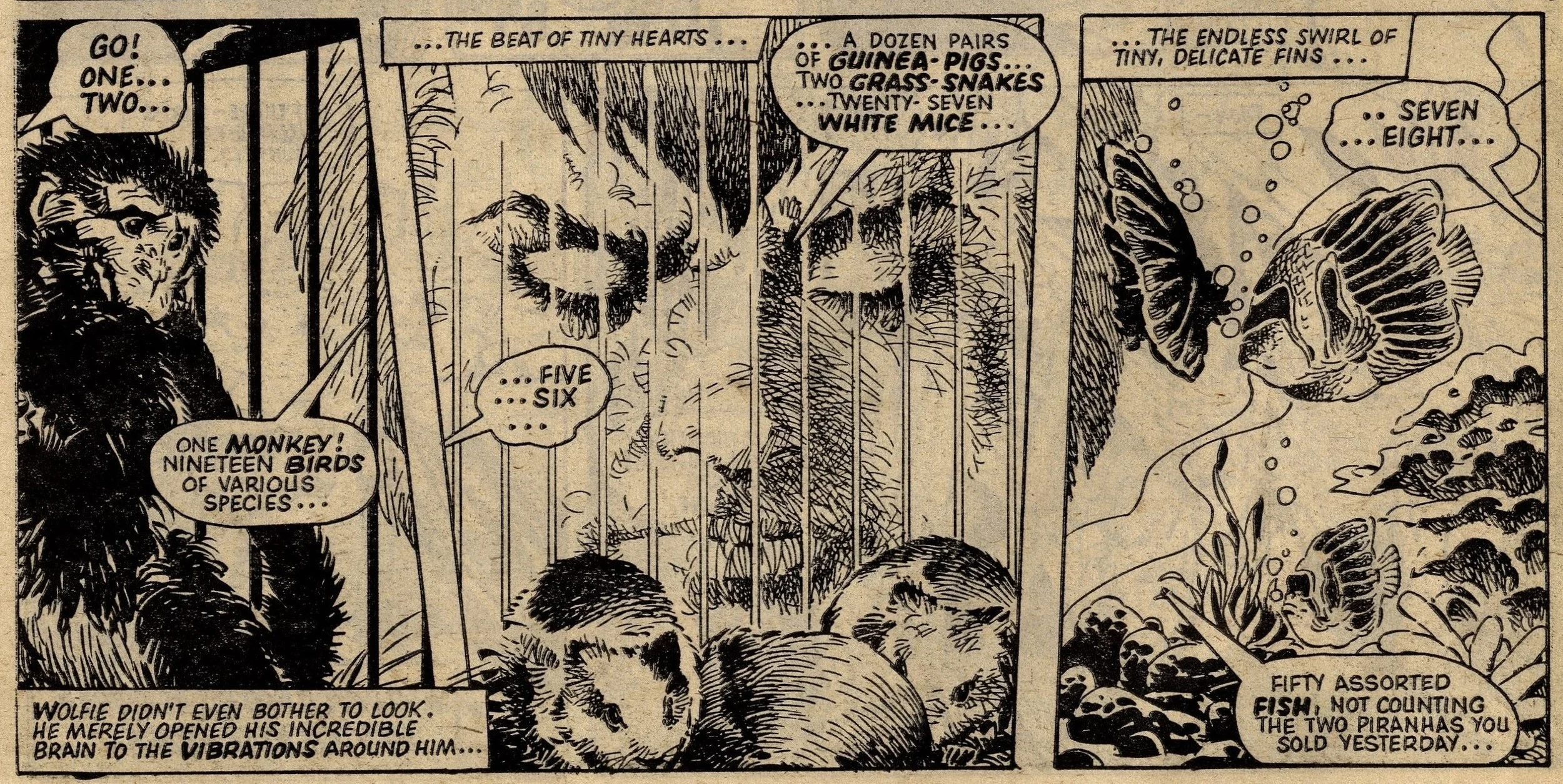 The Mind of Wolfie Smith: Tom Tully (writer), Jesus Redondo (artist)