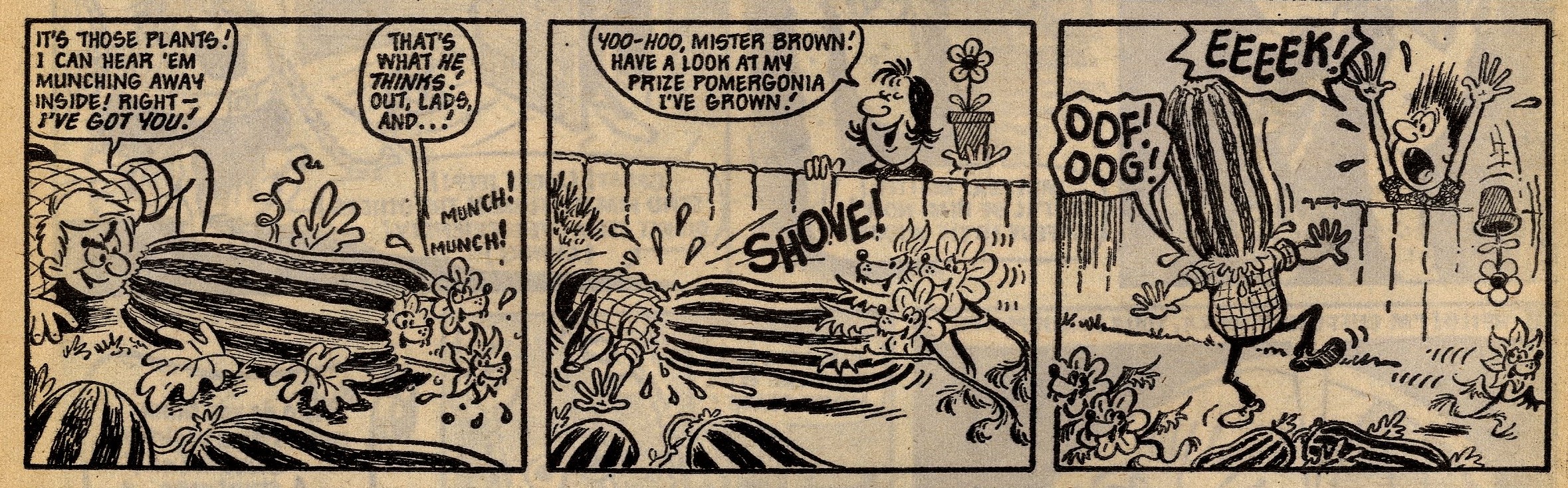 Biddy’s Beastly Bloomers: Sid Burgon (artist)