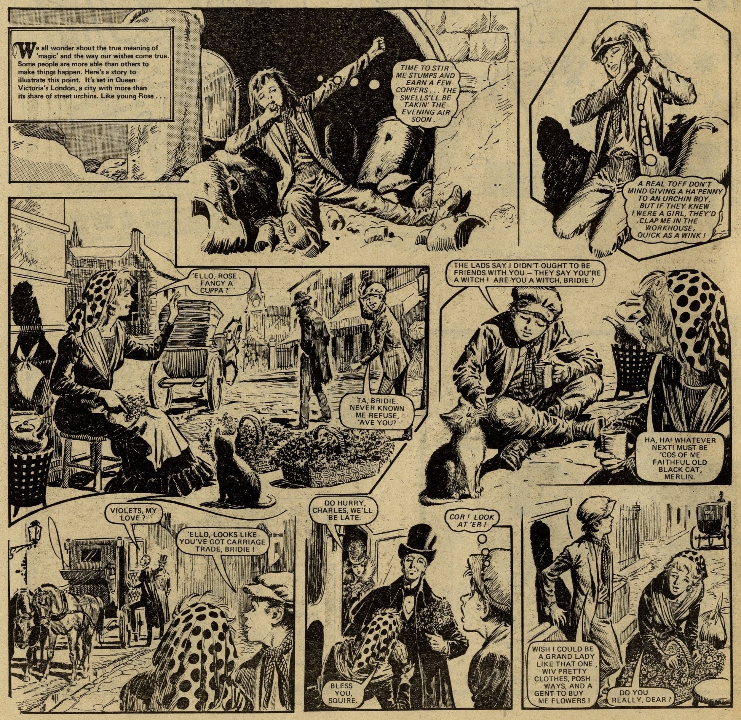 Purse of Gold: Hugo D'Adderio (artist)
