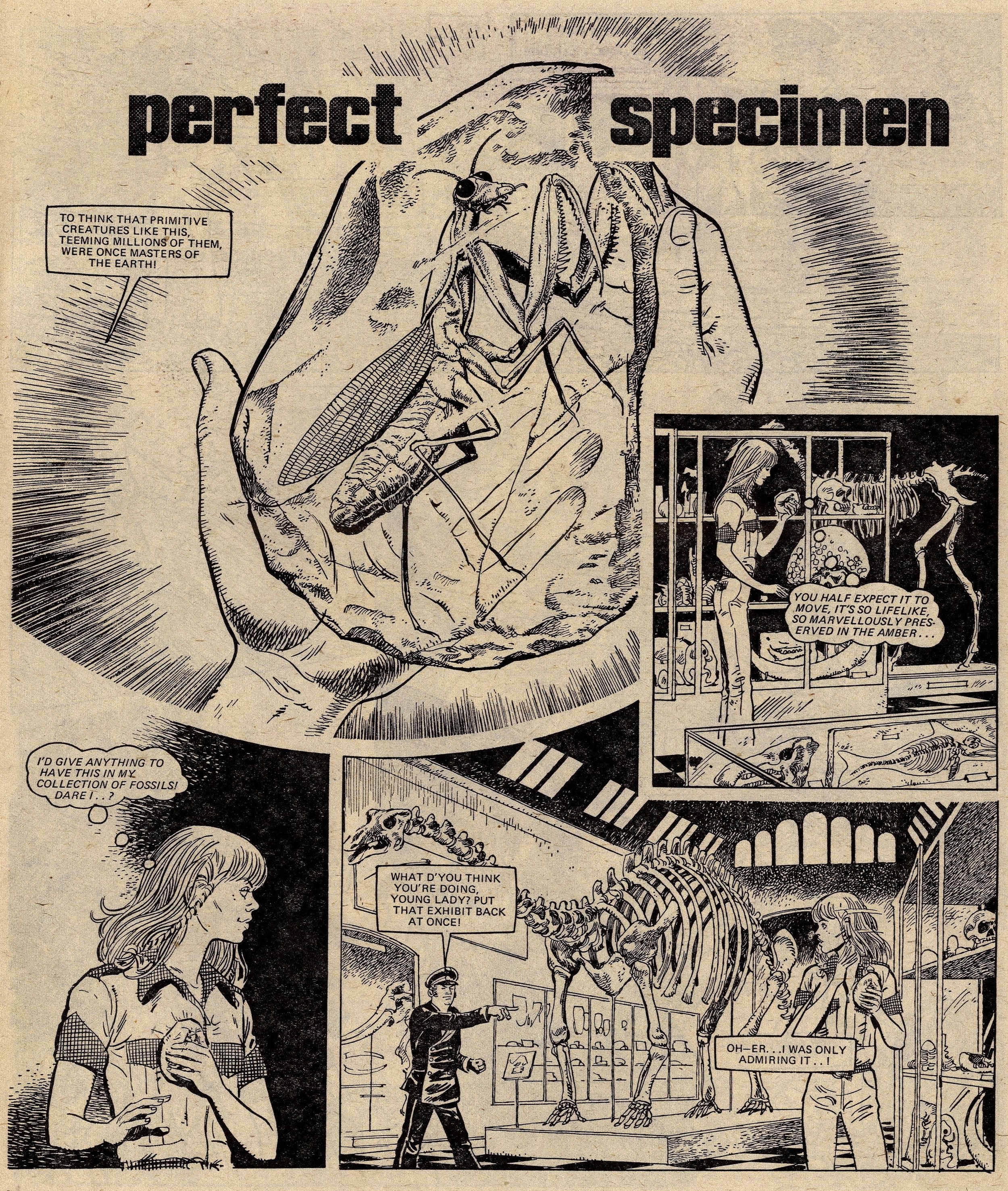 Perfect Specimen: Isidro Mones (artist)