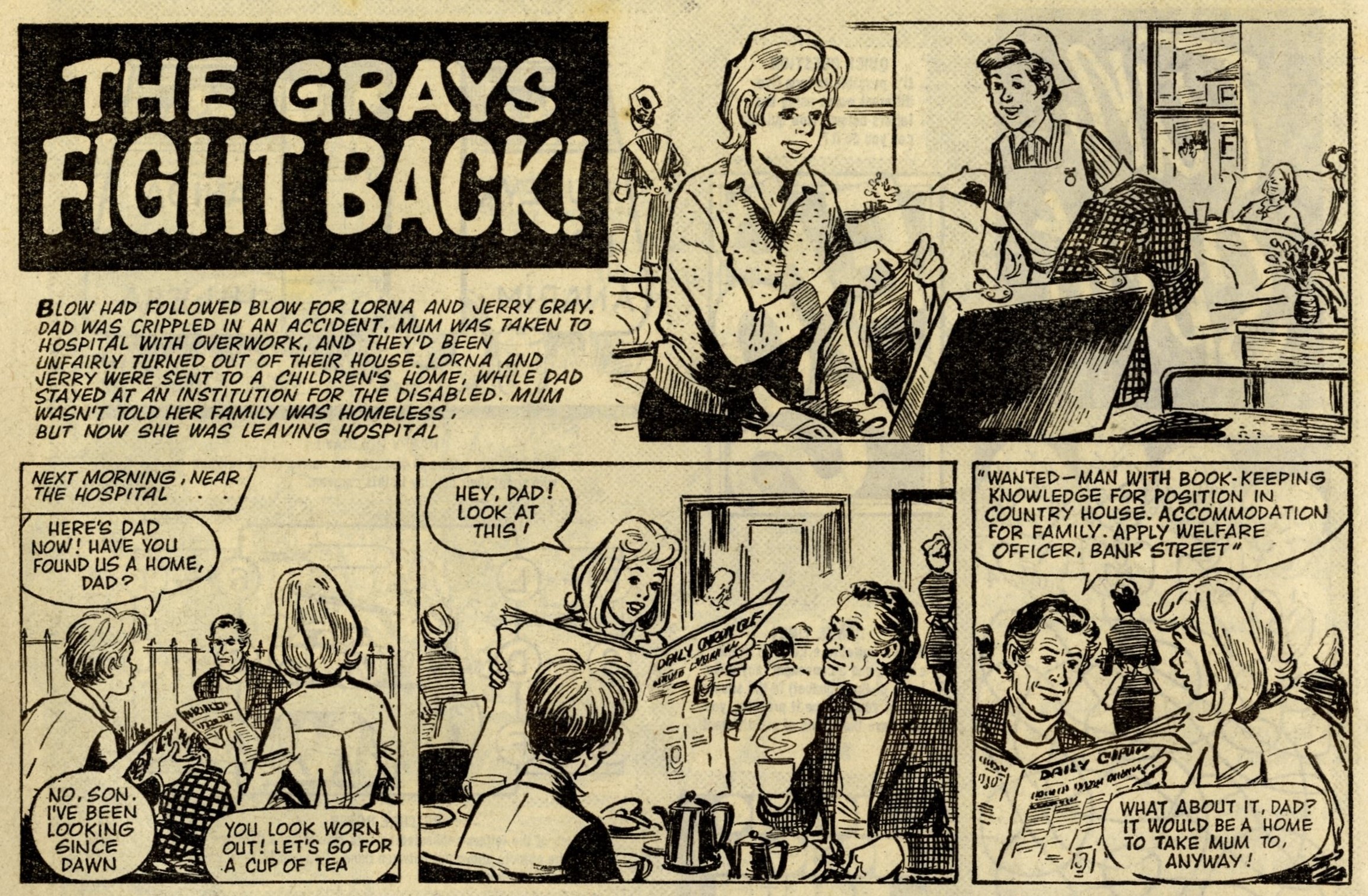 The Grays Fight Back!: Robert MacGillivray (artist)