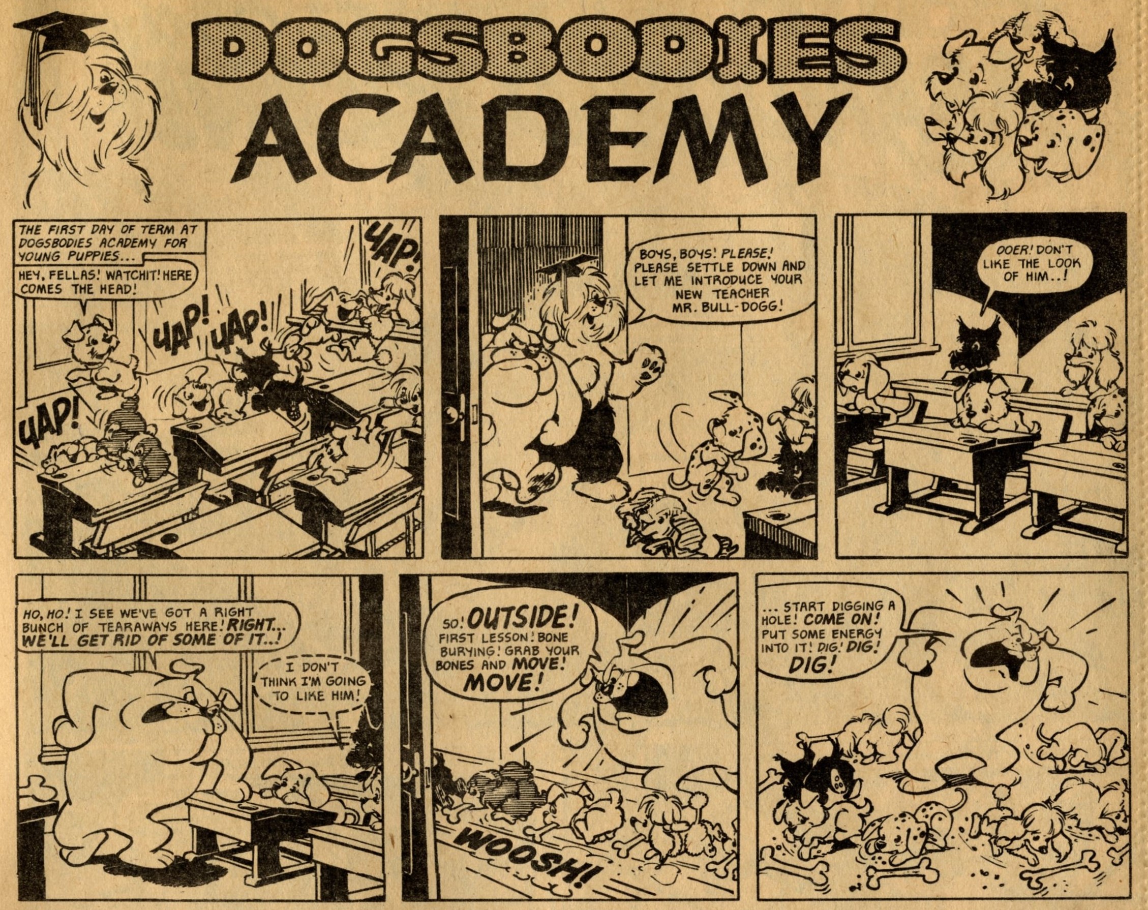 Dogsbodies Academy: Nadal (artist)