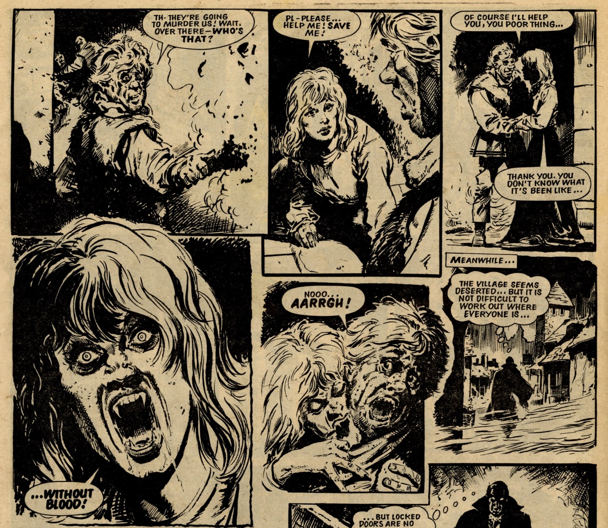 The Dracula Files: Simon Furman (writer), Eric Bradbury (artist)
