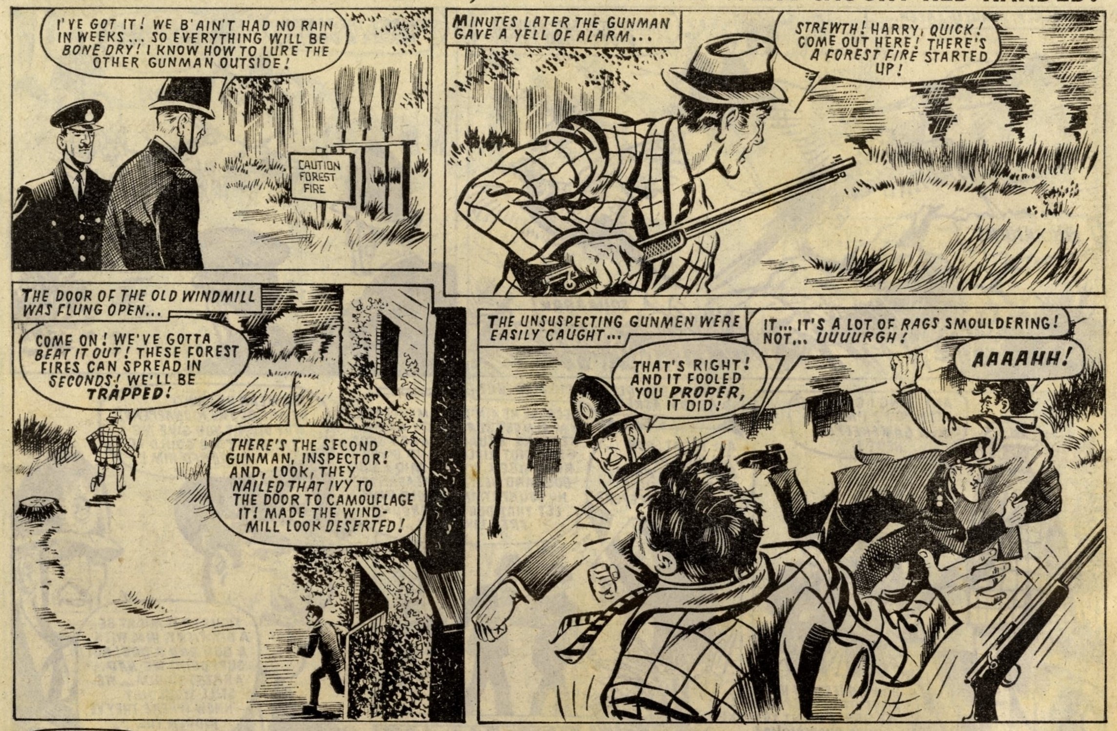 Partridge’s Patch: Mike Western (artist)