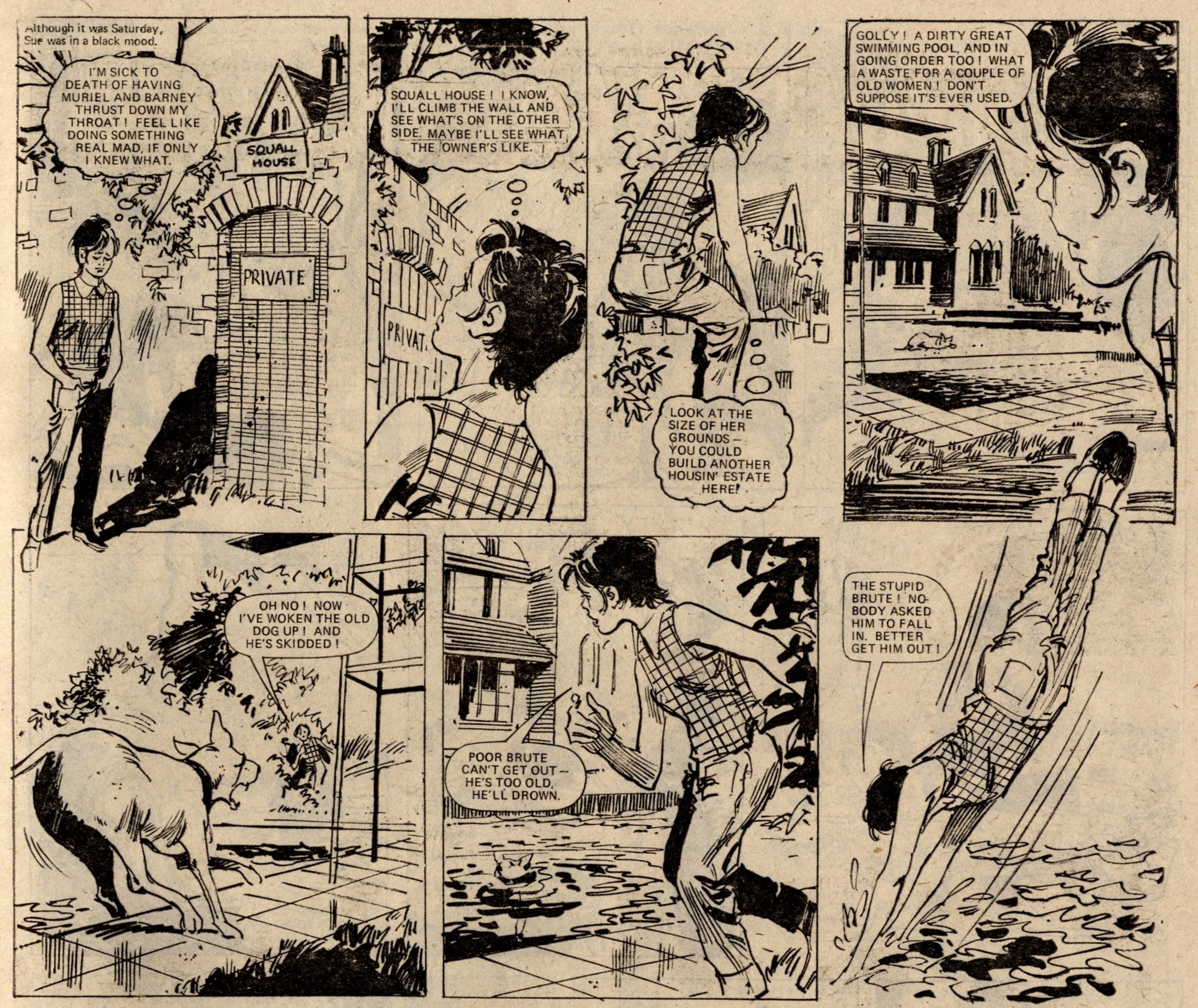 Swimmer Slave of Mrs Squall: Douglas Perry (artist)