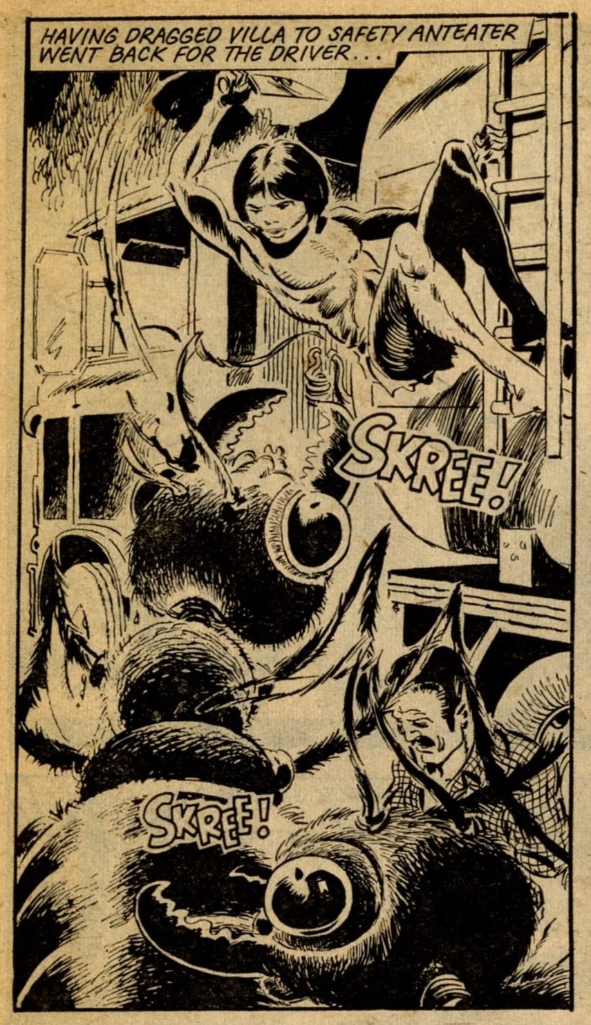 Ant Wars: Gerry Finley-Day (writer), Jose Luis Ferrer (artist)