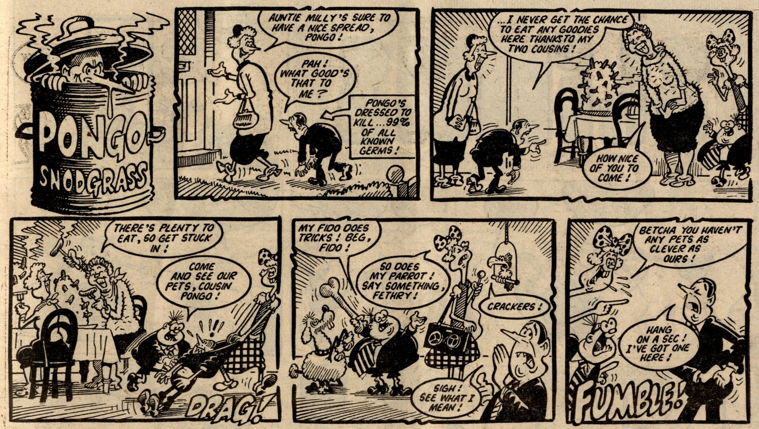Pongo Snodgrass: Ian Knox (artist)