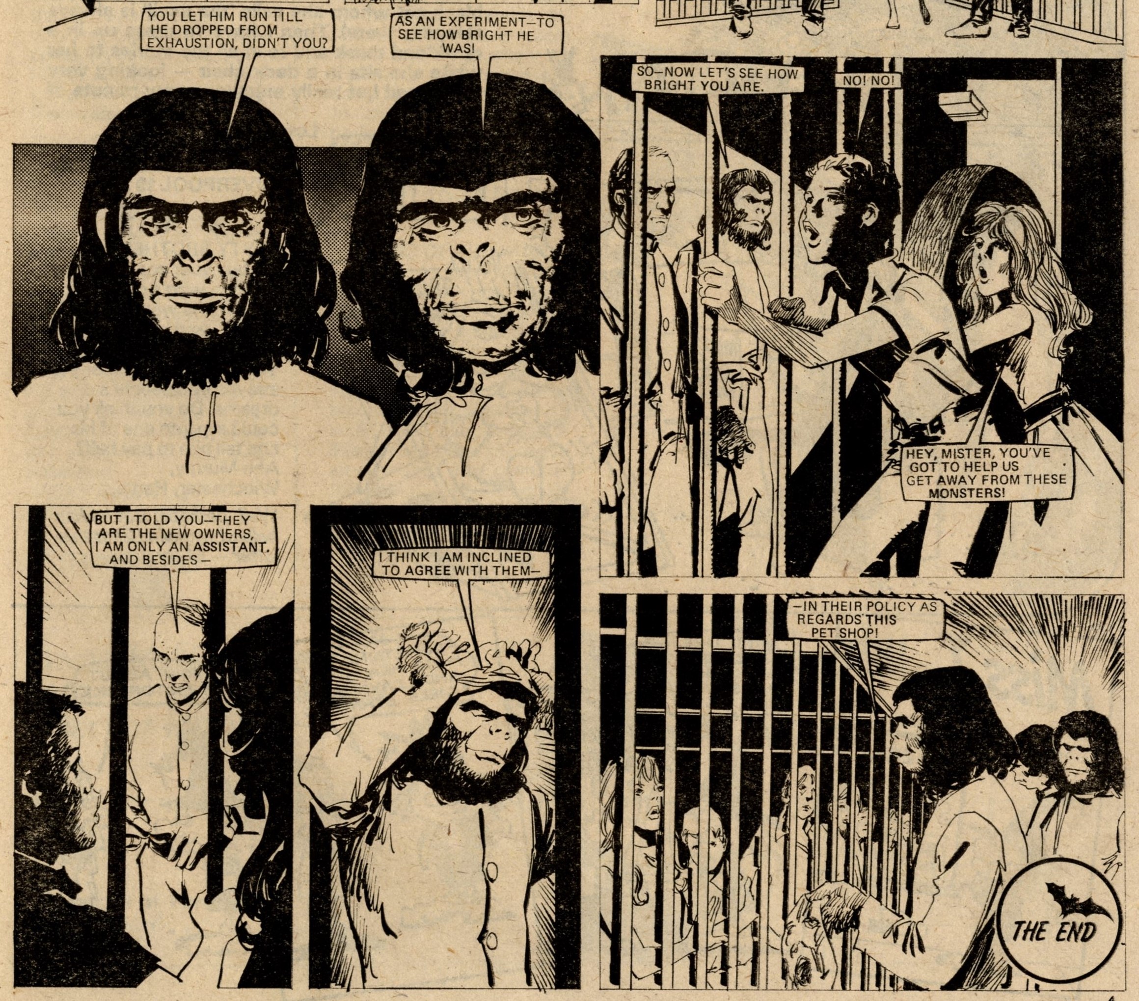 Beasts: The Pet Shop: Julio Bosch (artist)