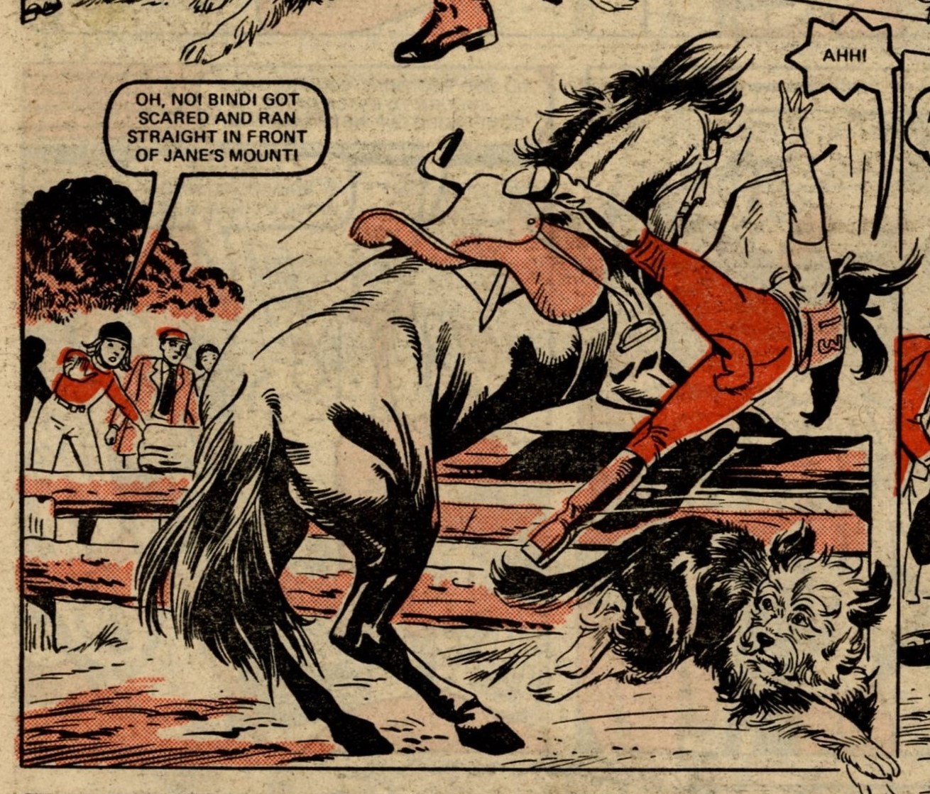 Come Back Bindi: Jenny McDade (writer), Mario Capaldi (artist)