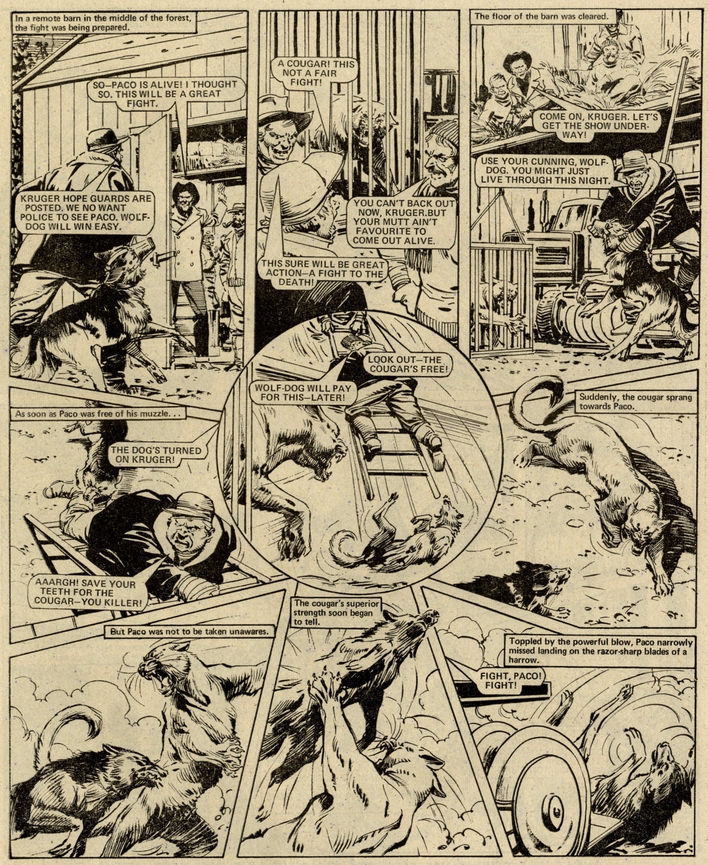 Paco: creators unknown