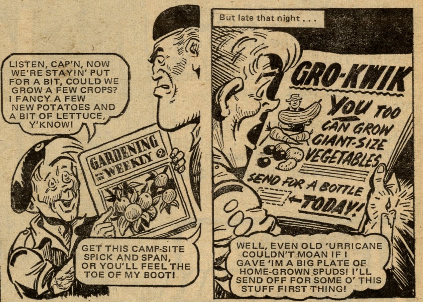 Captain Hurricane: Charles Roylance (artist)